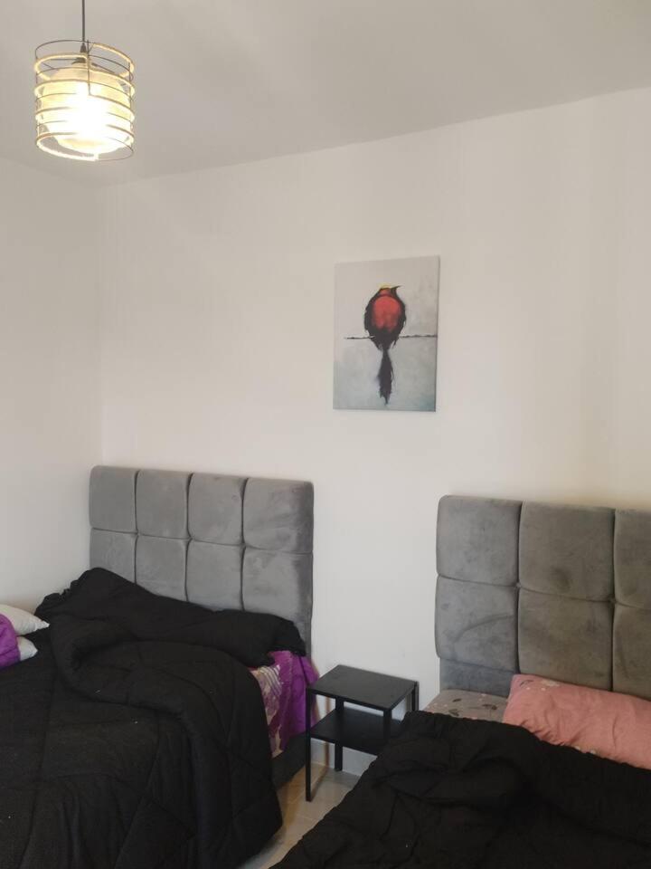 New and comfortable apt in madinaty compound