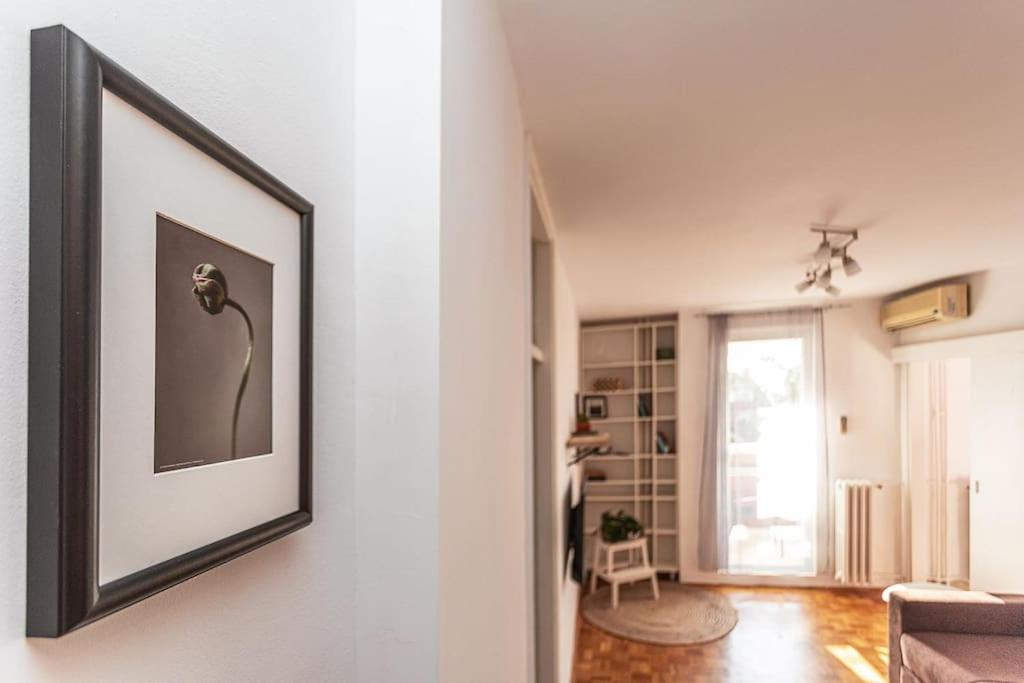 Belgrade Hill Apartment view 4