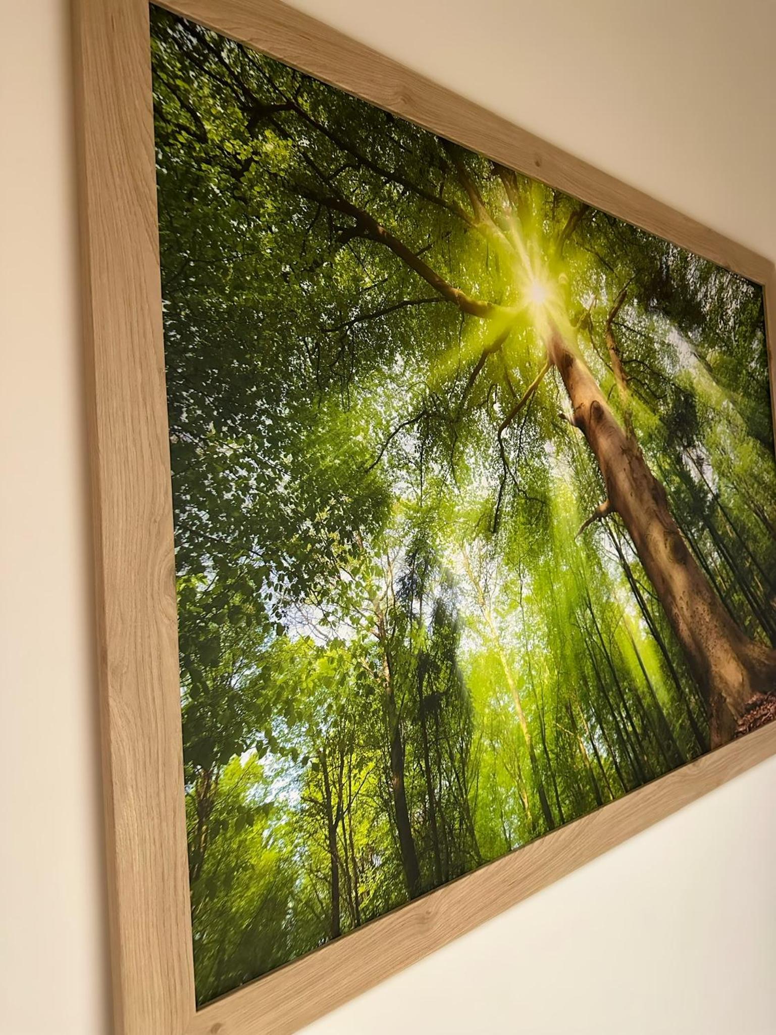 Zentrumsnahe Wohnung en Chemnitz — other