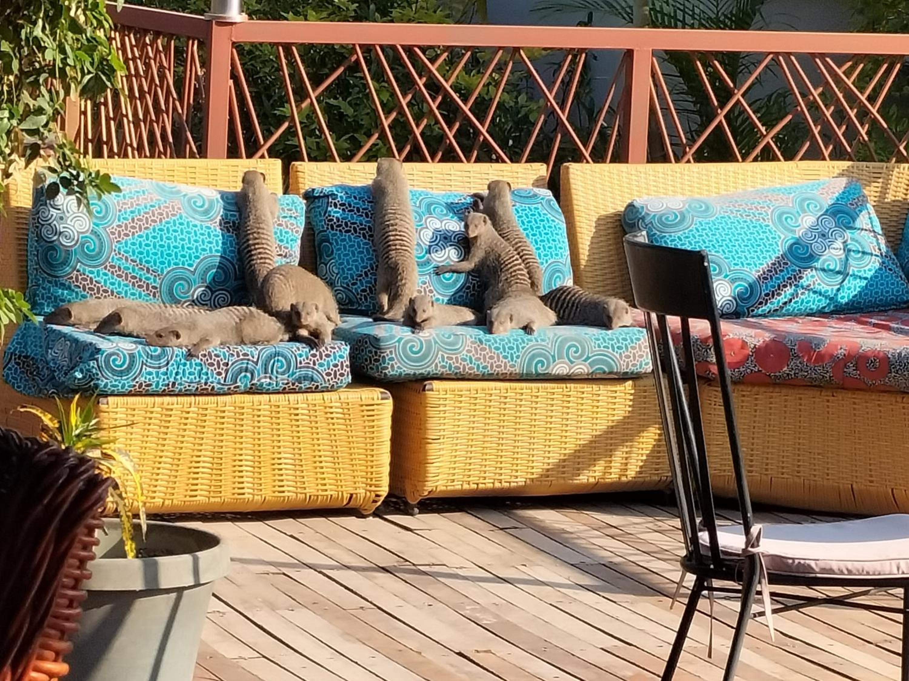 Sunbirds Lodge Chobe