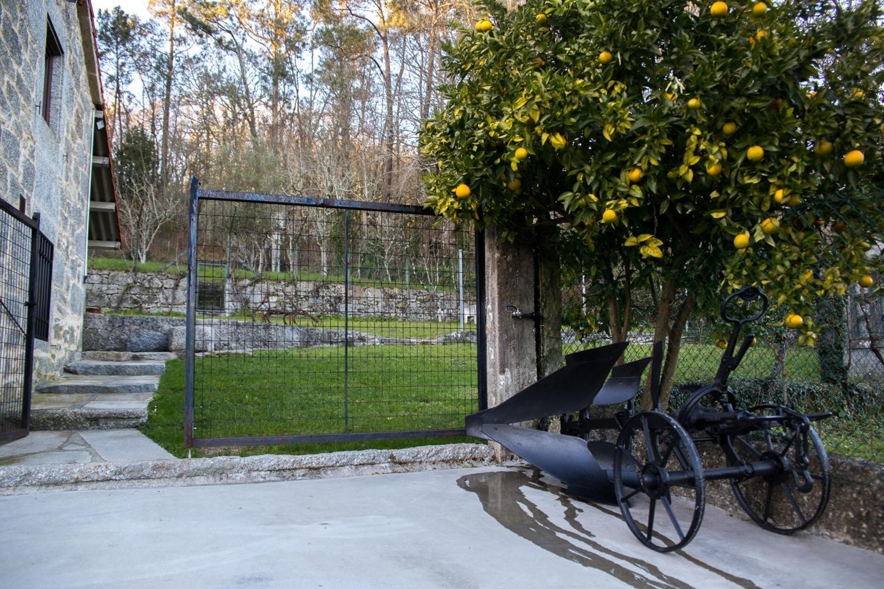 A CASA DA MOREIRA - Casa rural en Ponte Maceira photo 3