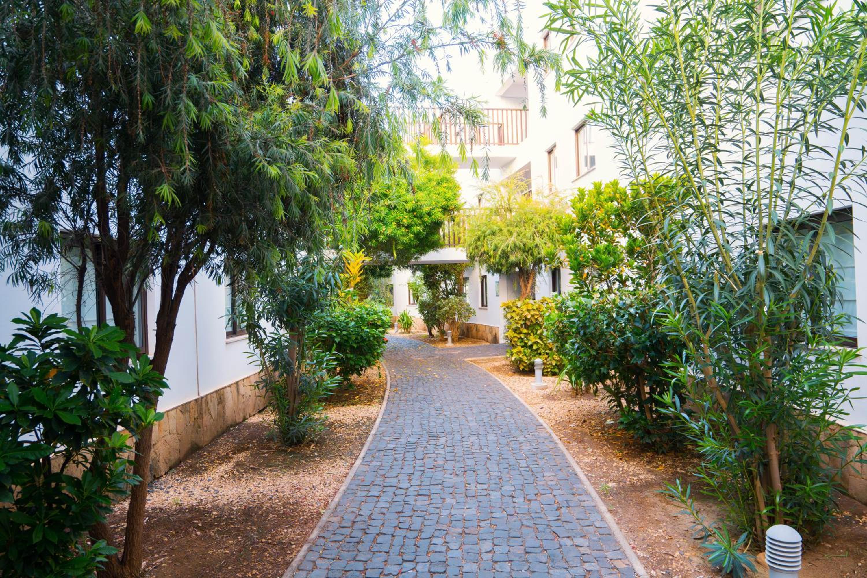 Casa Cubada