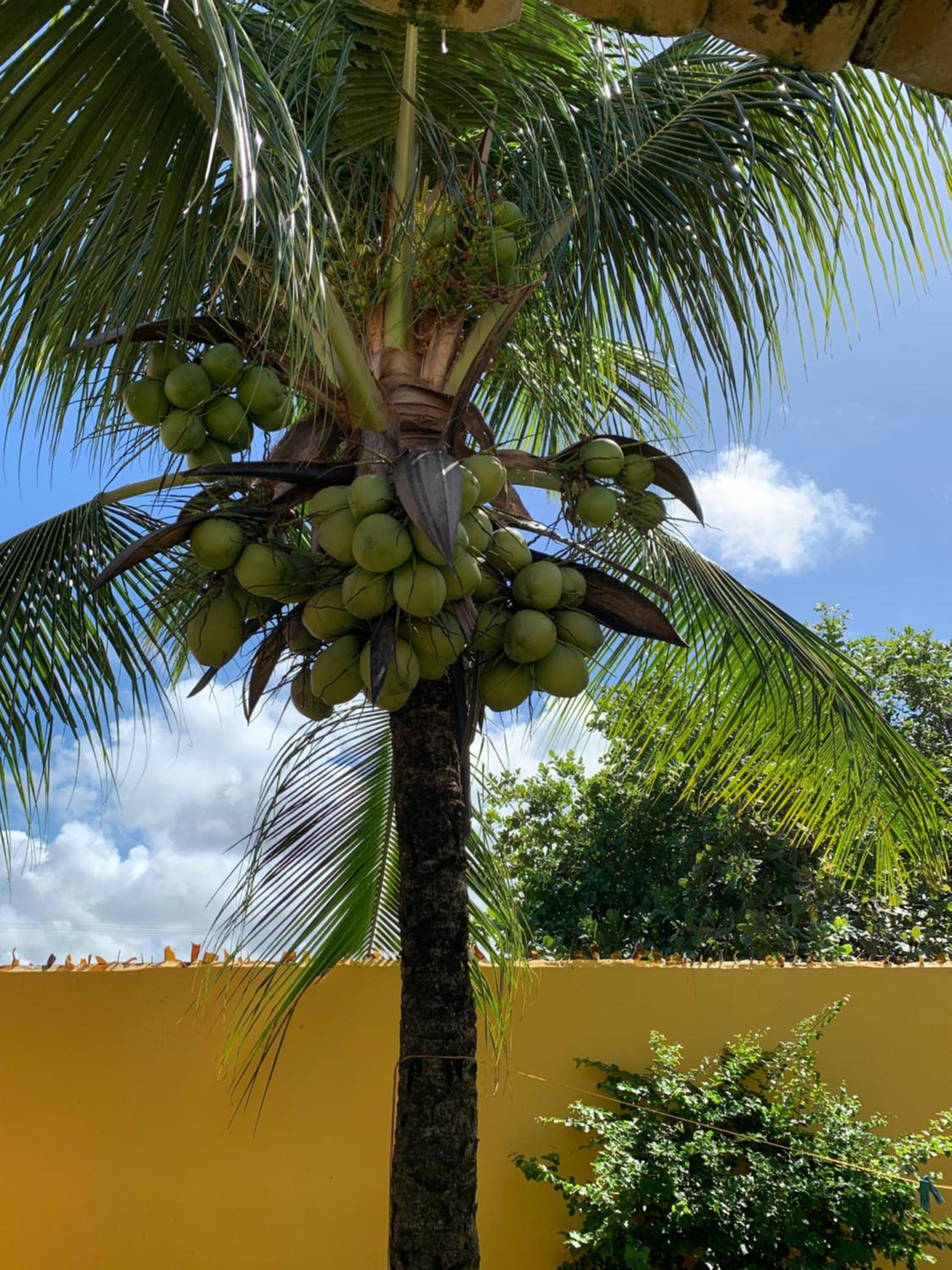 Casa Amarela Praia do Saco