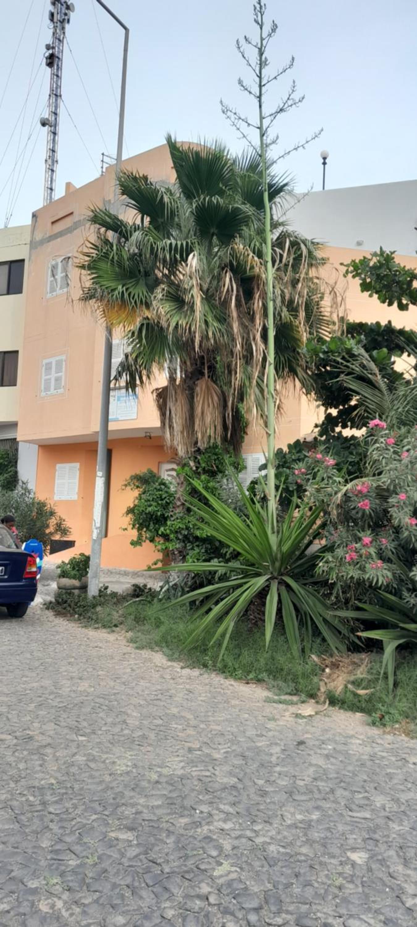 Laginha Beach Guest House