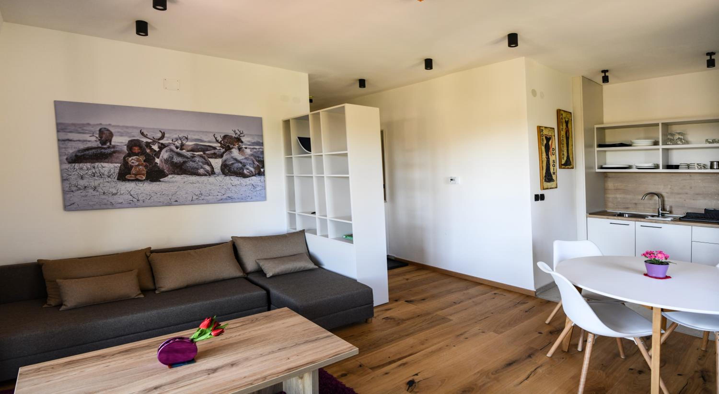 Apartmani Slalom