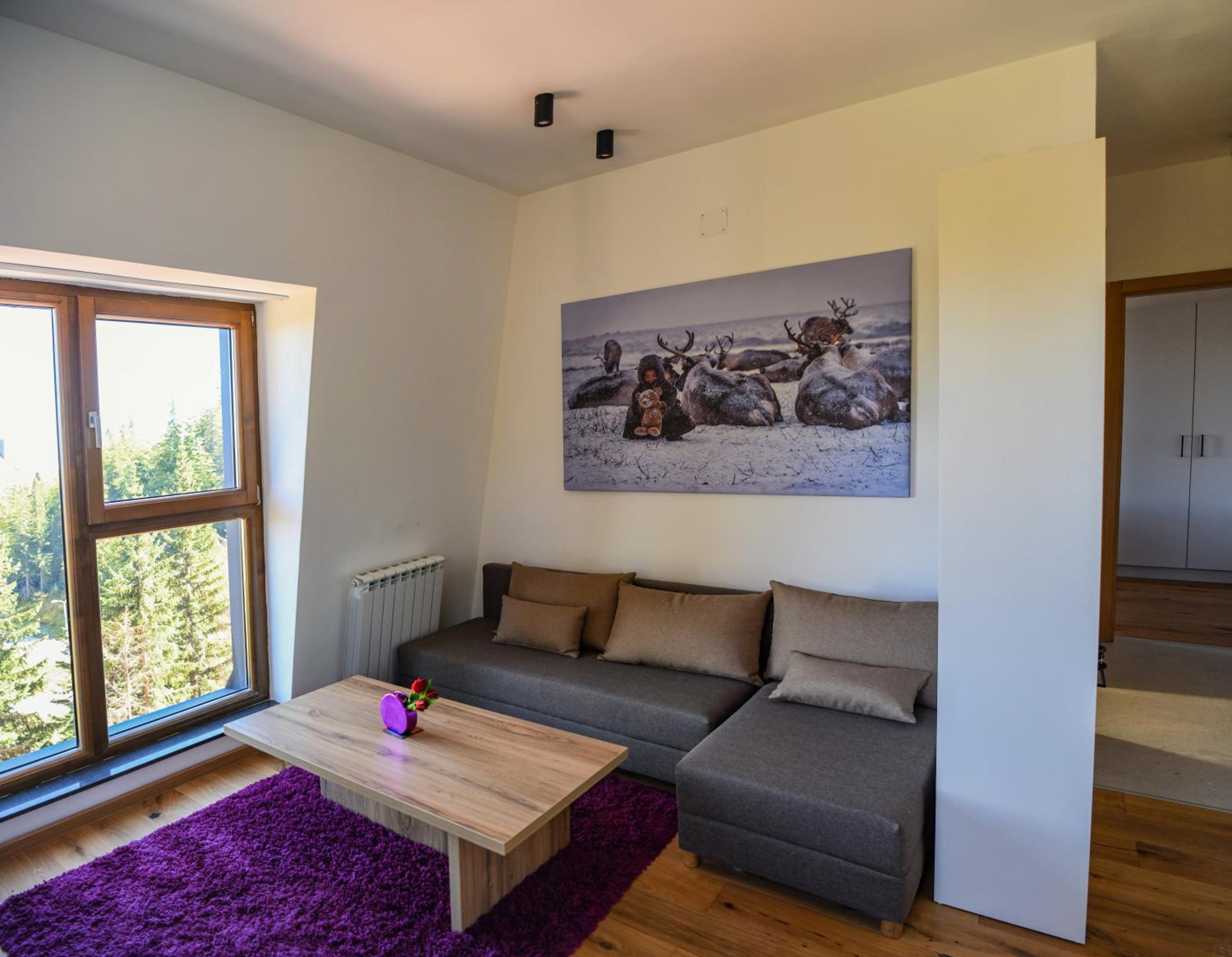 Apartmani Slalom