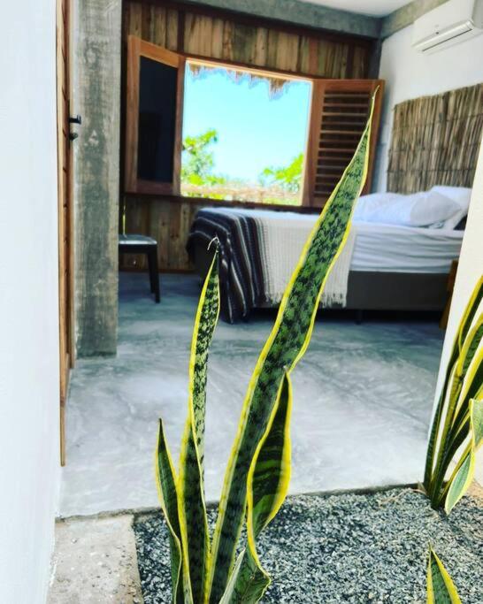 Casa nômade preá