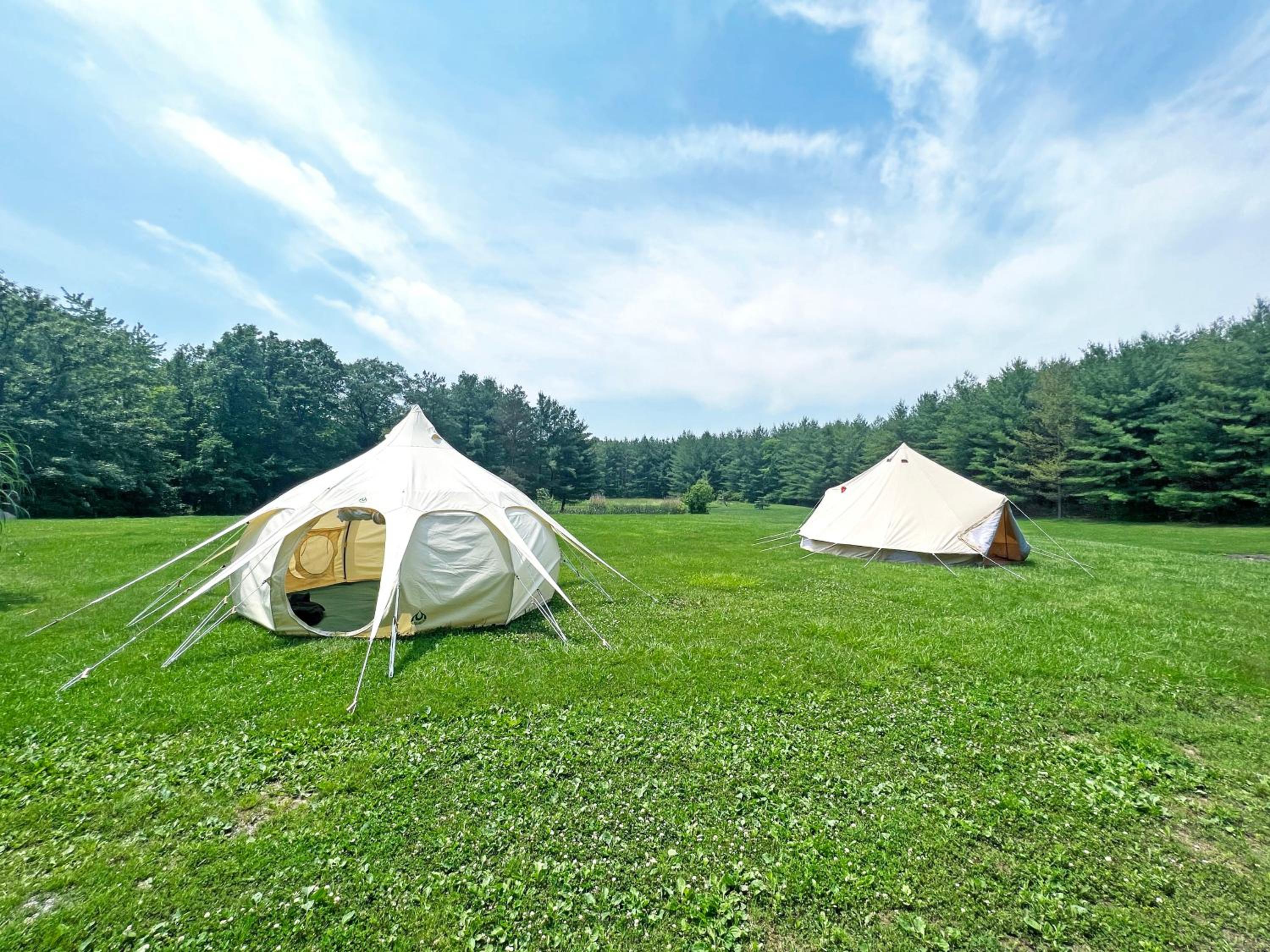Forest Retreat - Pool - Games - Fireside Joy