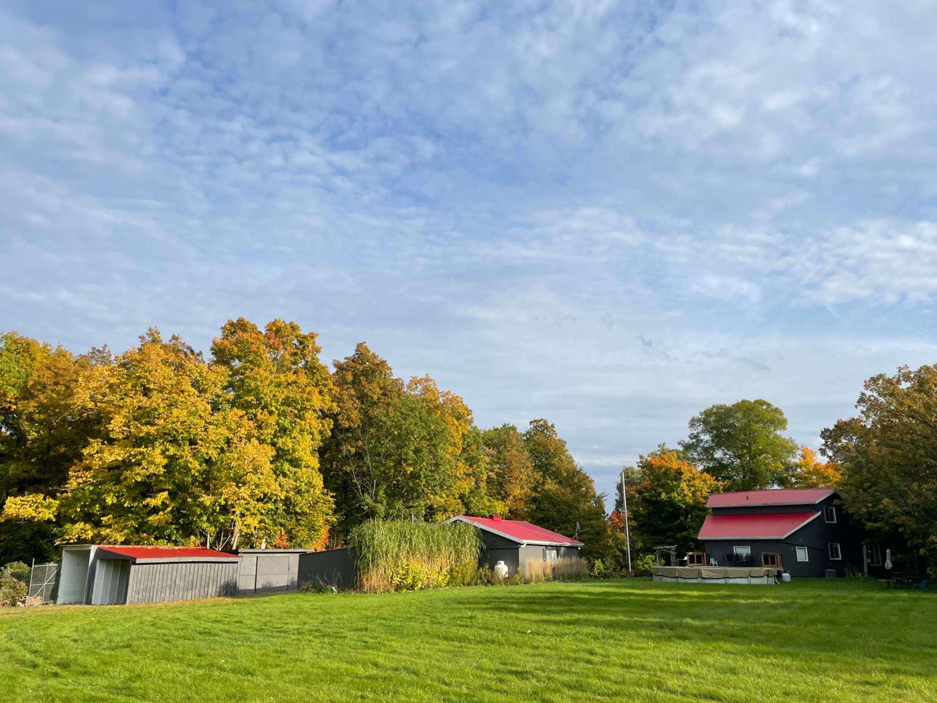 Forest Retreat - Pool - Games - Fireside Joy