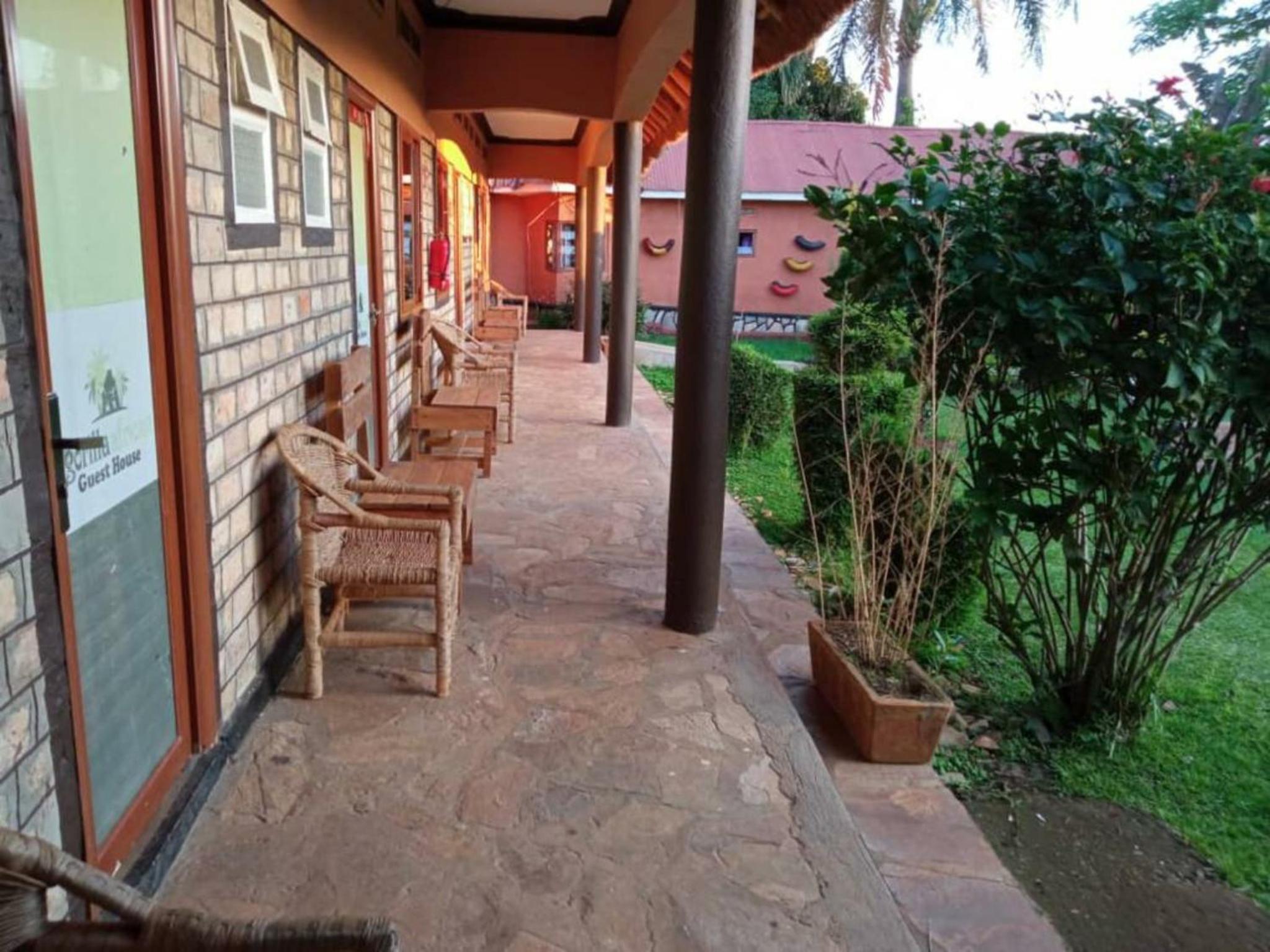 Gorilla African Guest House