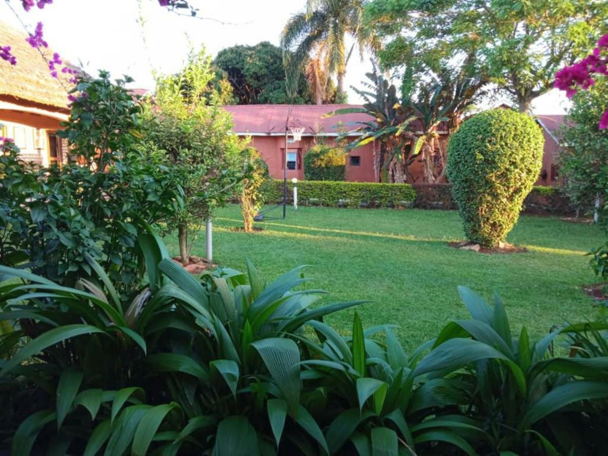 Gorilla African Guest House