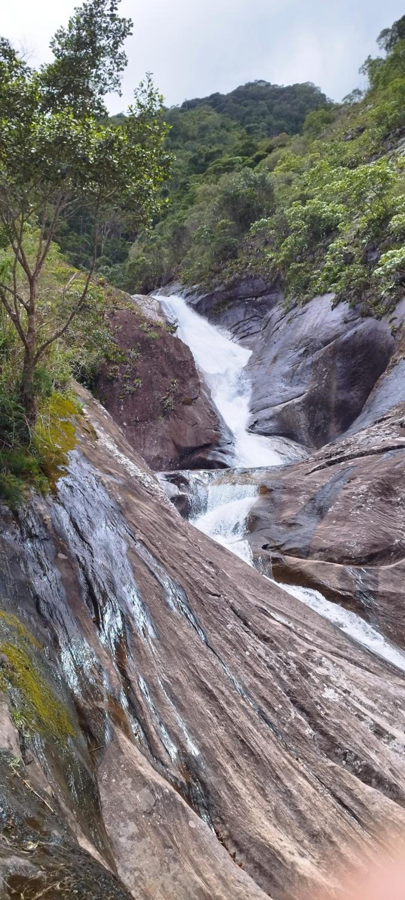 Cantinho da Mata