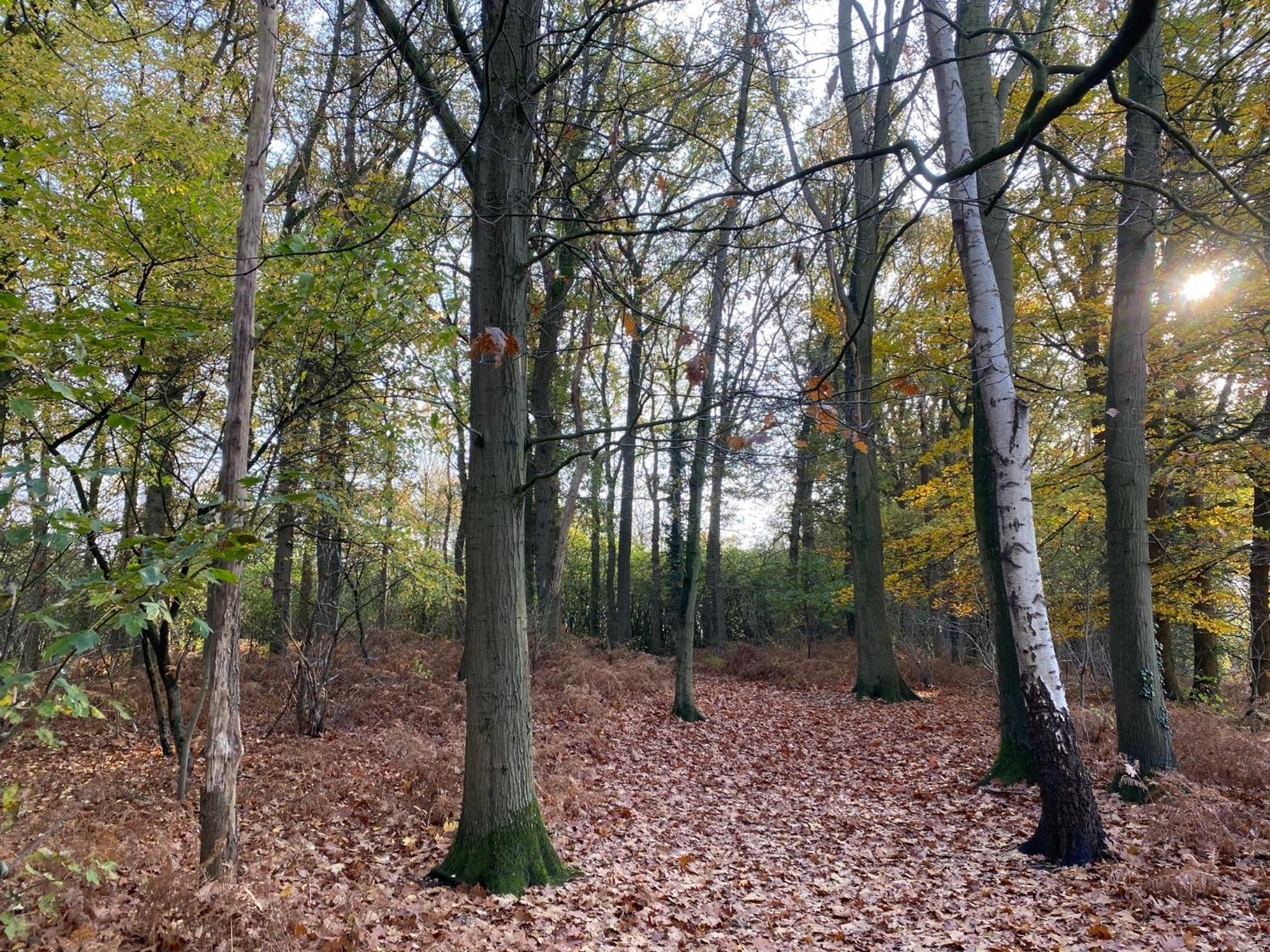 Groepsaccommodatie - De Ooymanhoeve view 3