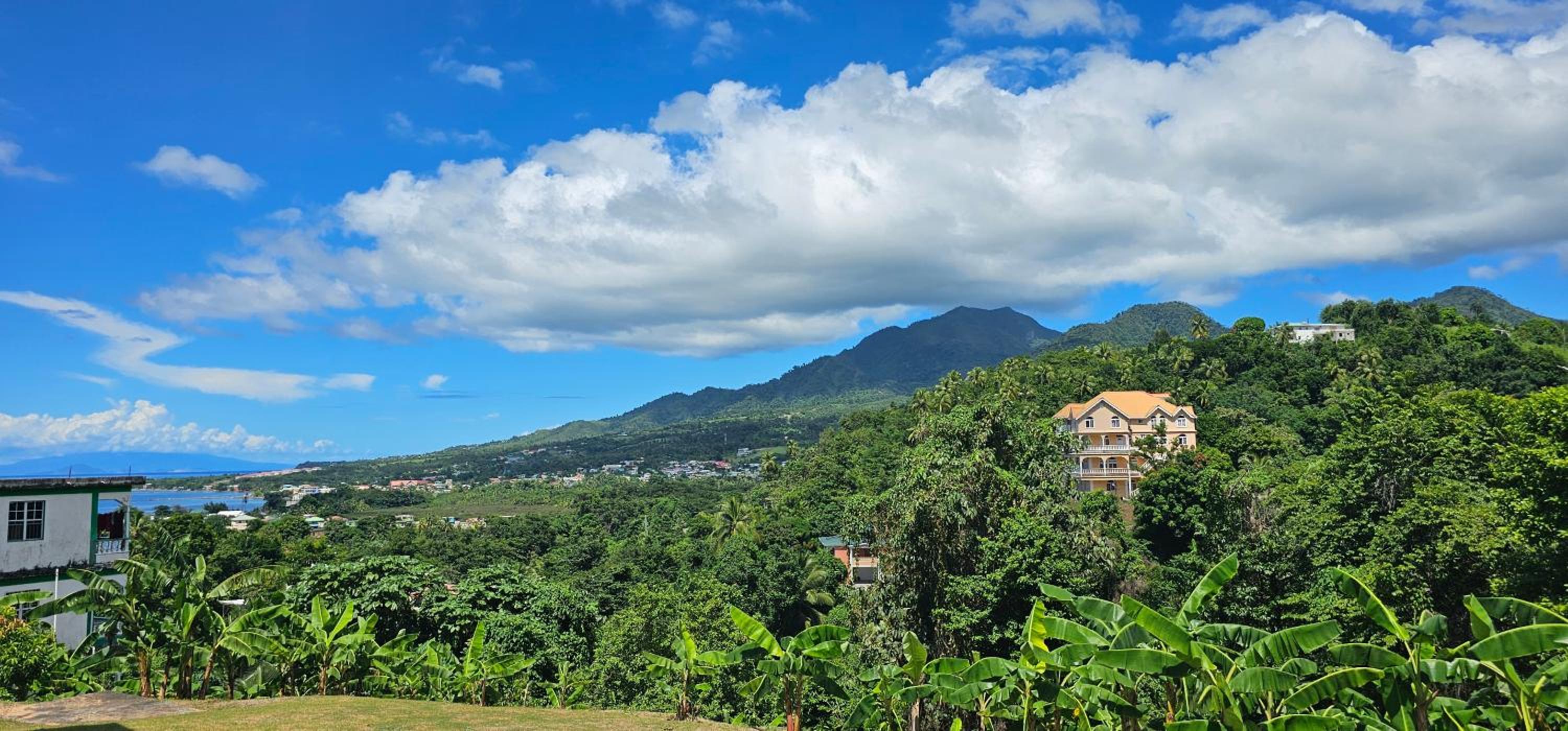 Montecello Heights