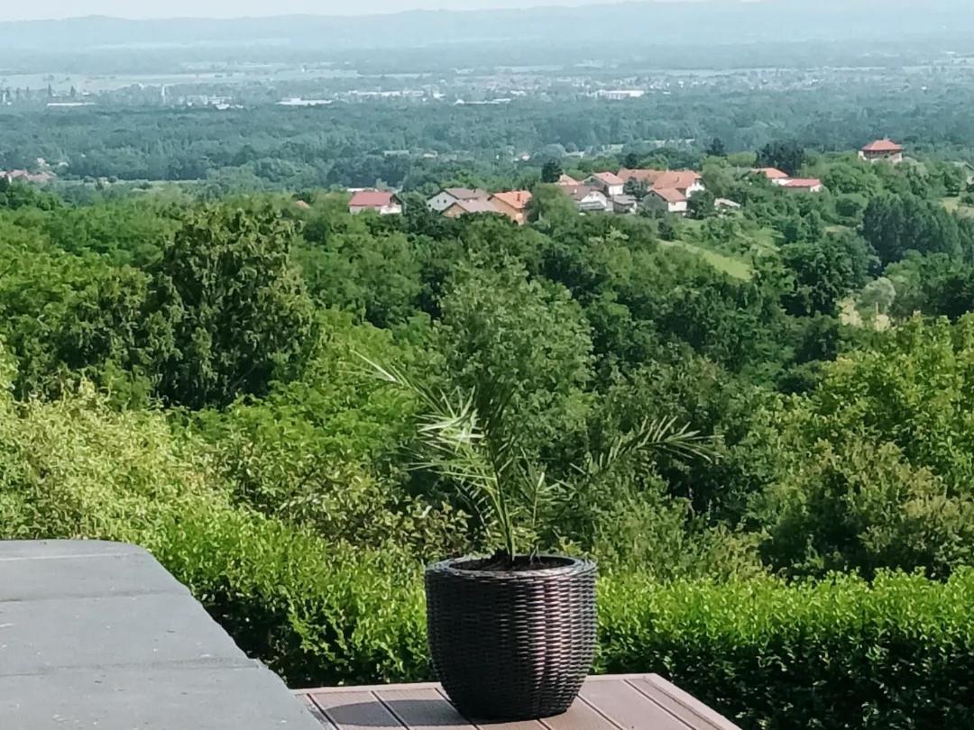 Villa Wolf Castle - vanjski grijani bazen 365 dana i pet friendly view 5