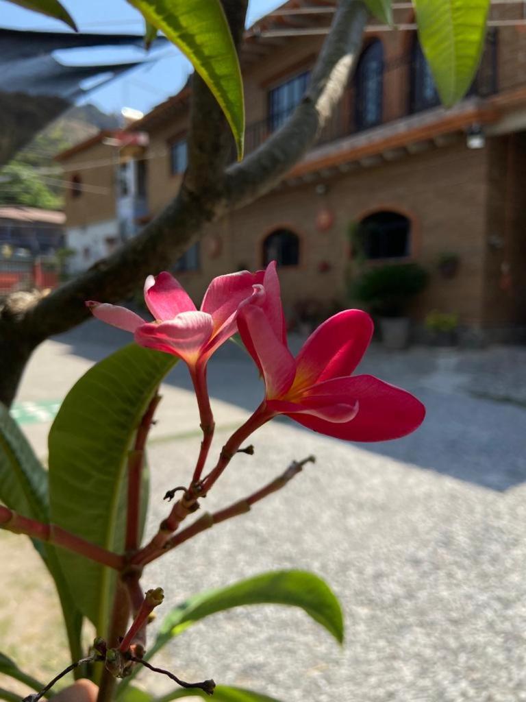 Hospedaje Huehueyopa
