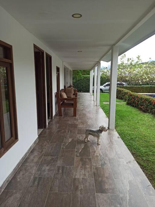 Piscina-jacuzzi-calma-comodidad-Villa Old Havana
