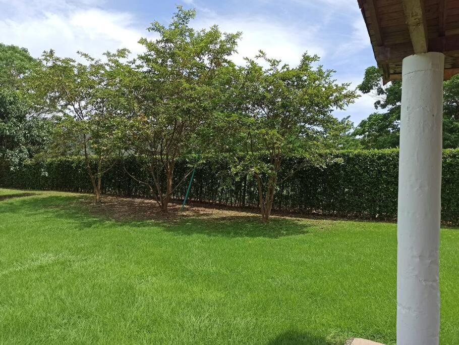 Piscina-jacuzzi-calma-comodidad-Villa Old Havana