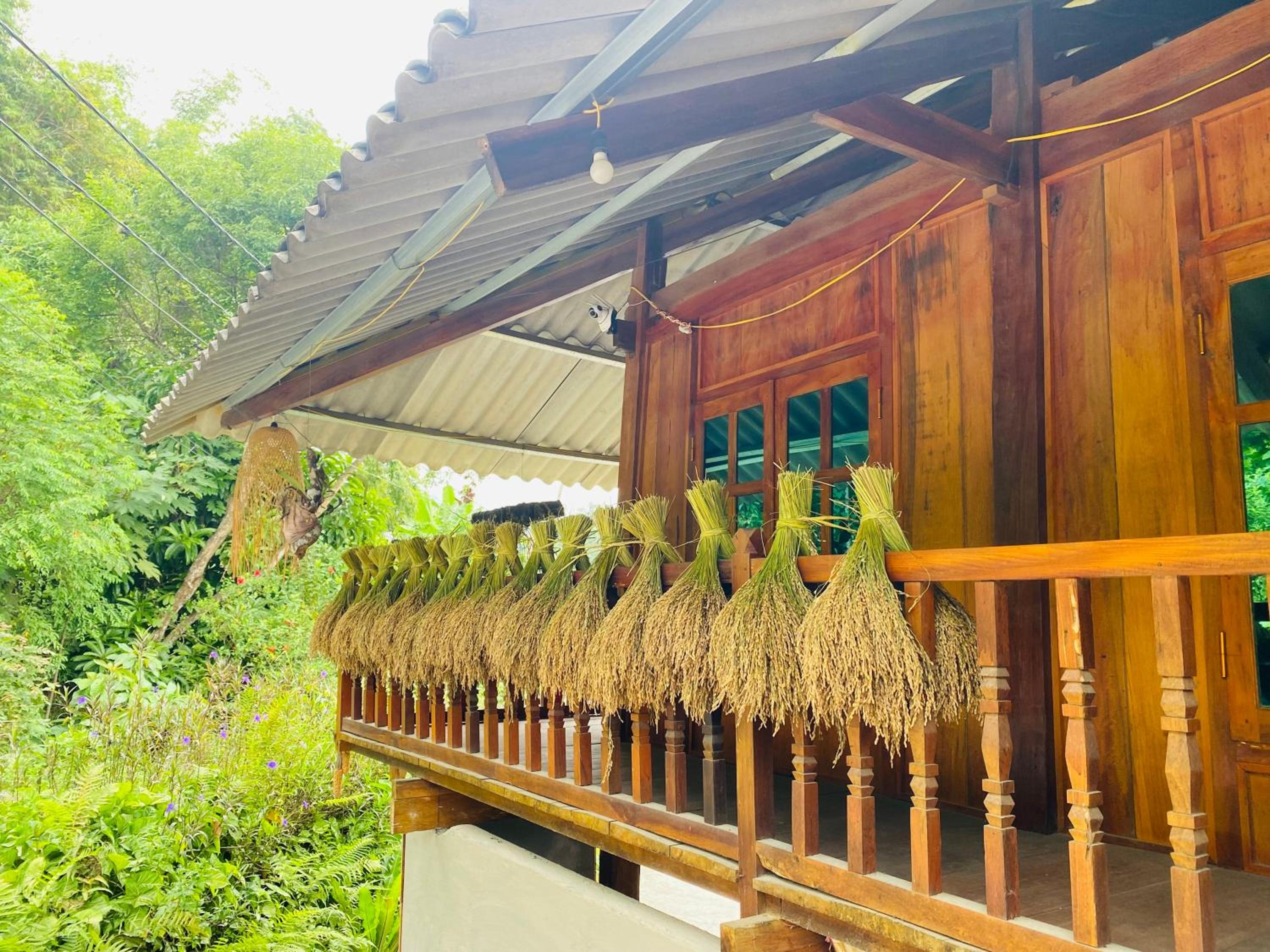 Du Gia Field View Homestay