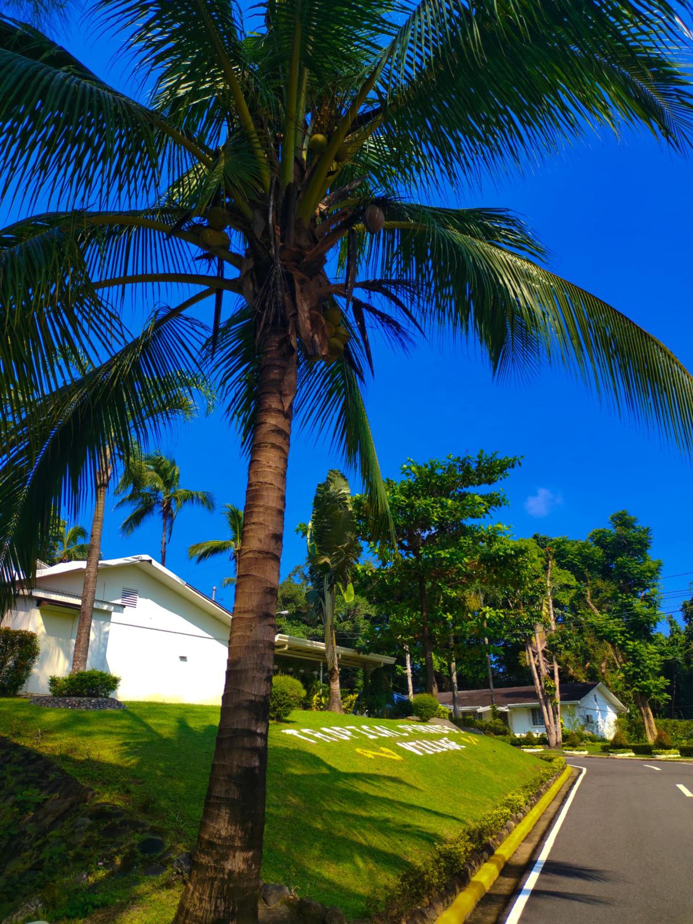 Tropical Paradise Retirement Village Inc