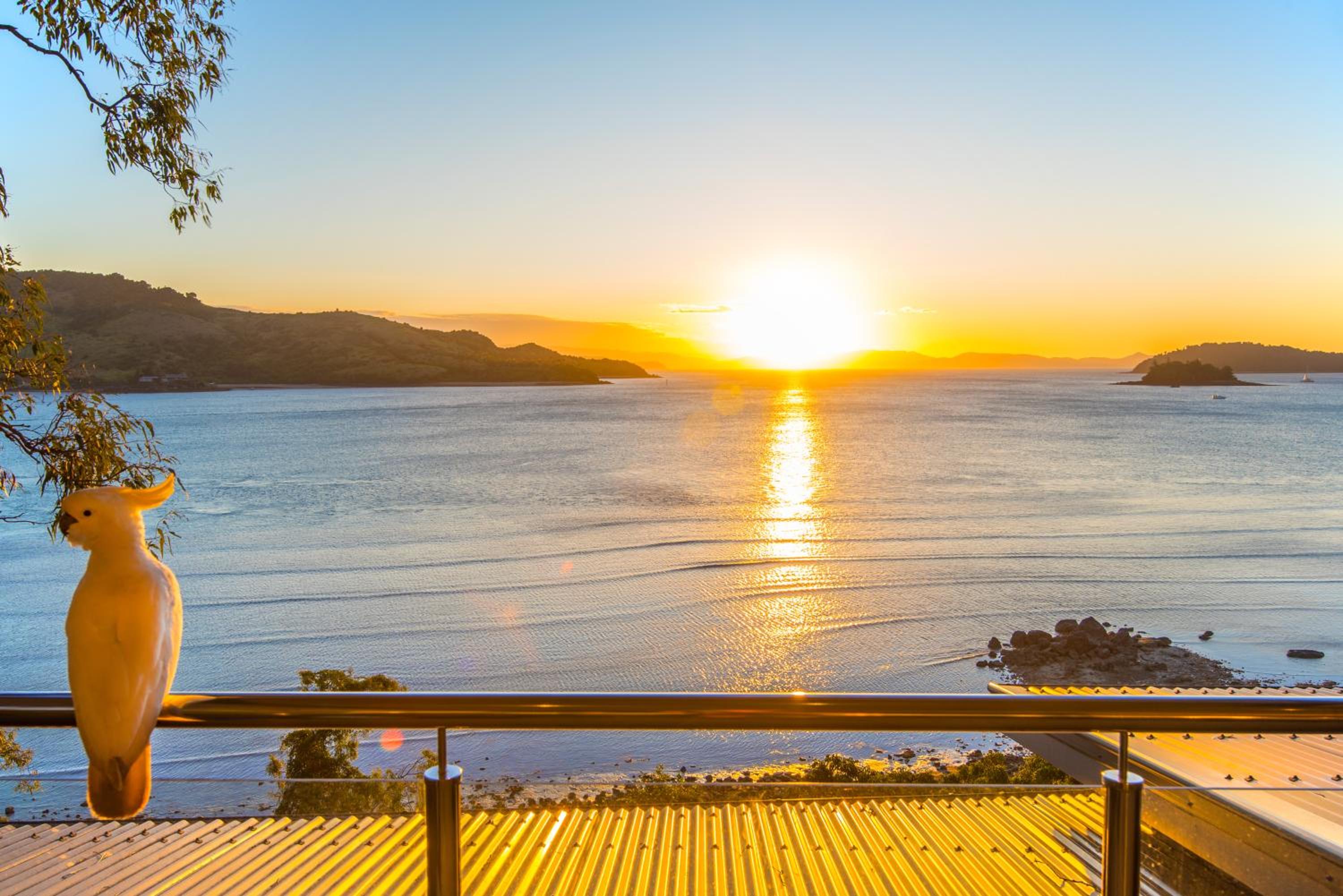 Edge Apartments on Hamilton Island by HIHA
