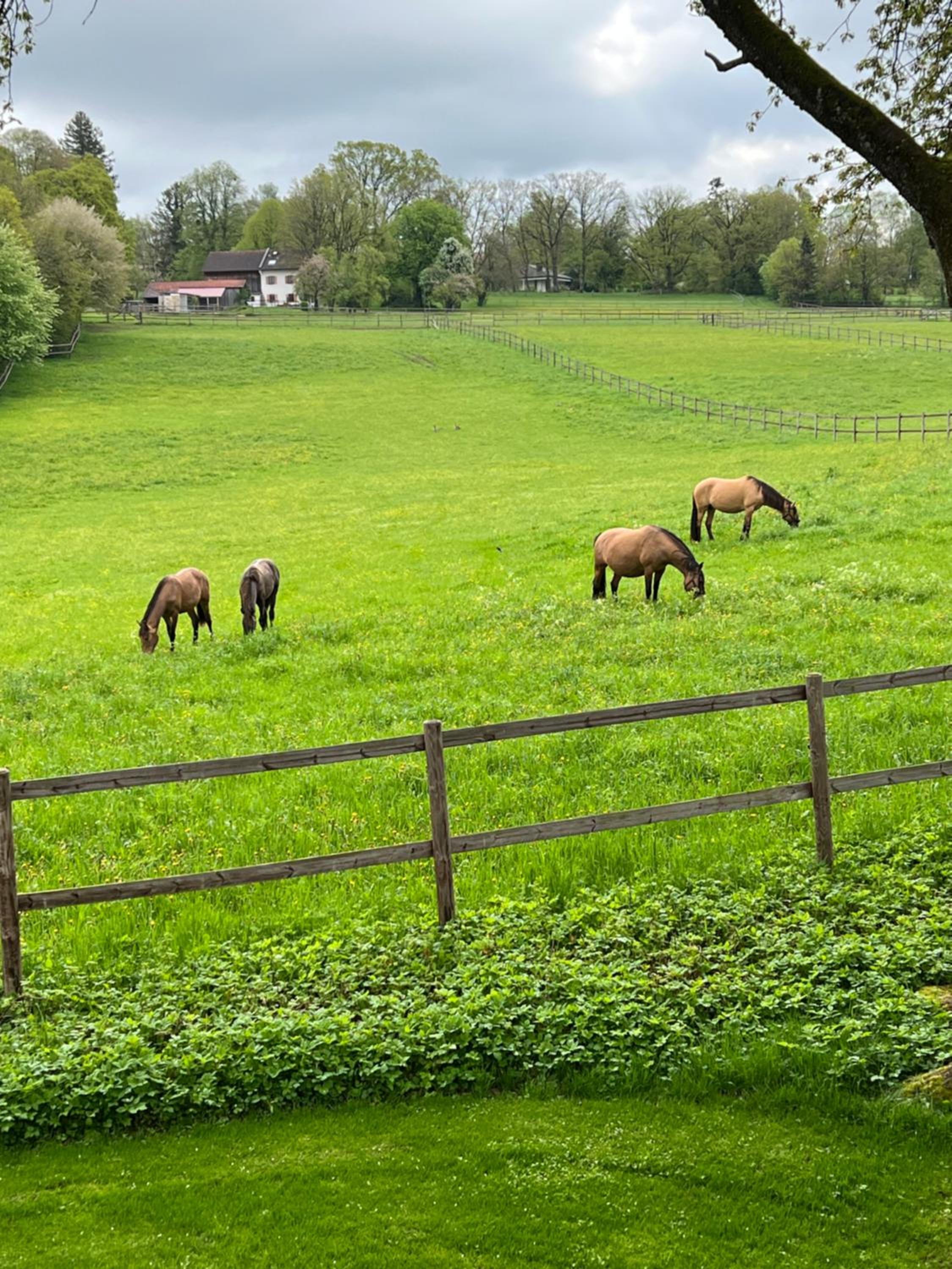 Herrenhaus - Starnberger See - Ammerland view 2