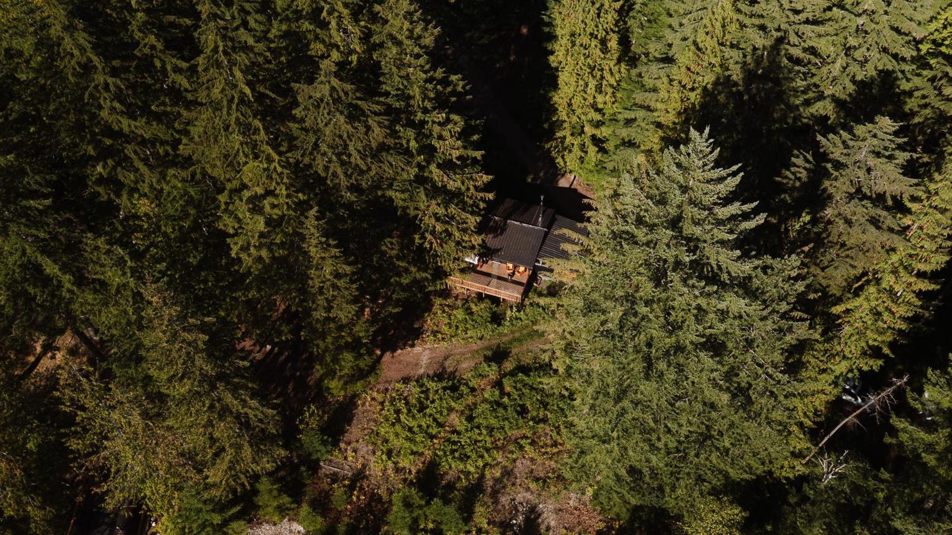 Kootenay Lakeview Retreats - Forest Cabin
