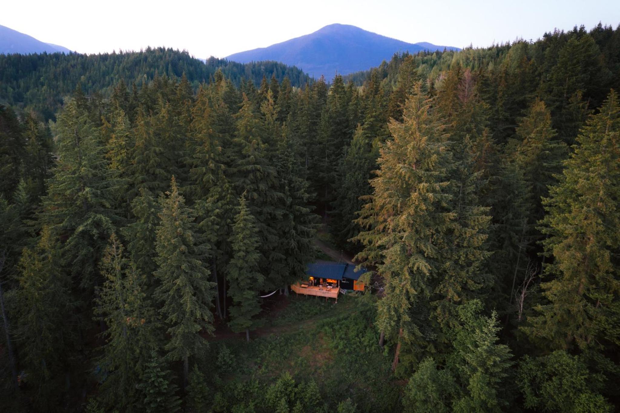 Kootenay Lakeview Retreats - Forest Cabin