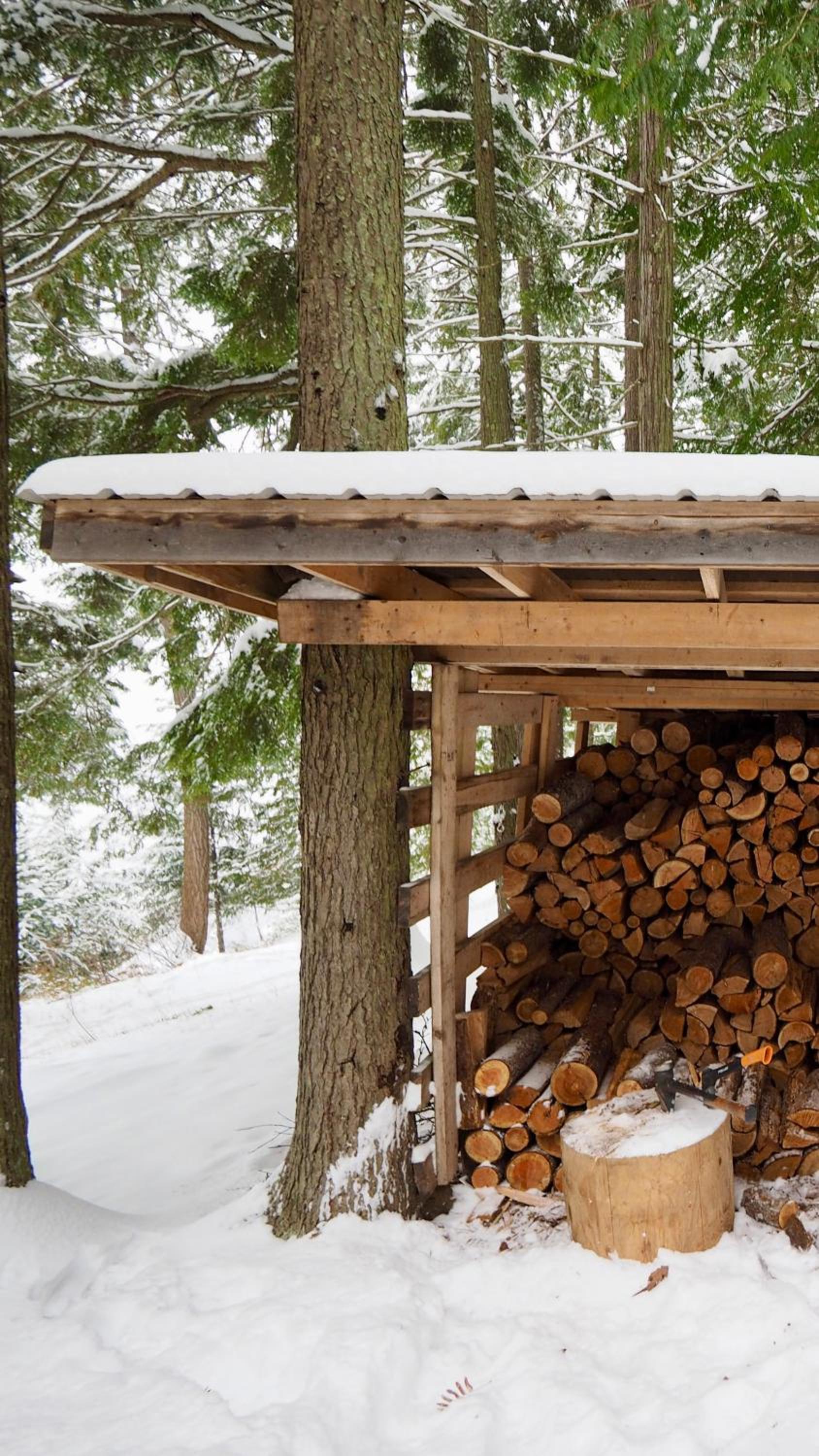 Kootenay Lakeview Retreats - Forest Cabin