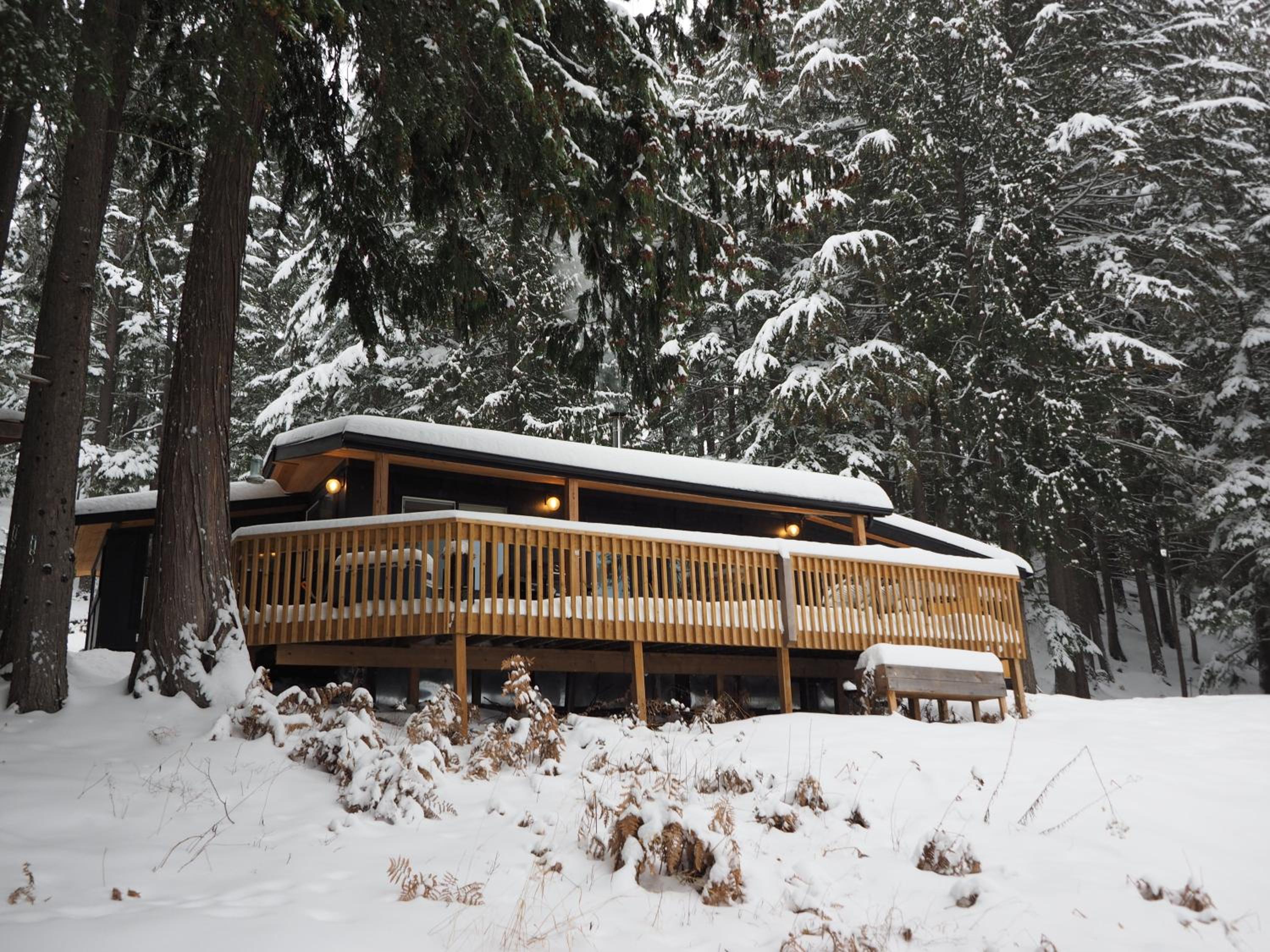 Kootenay Lakeview Retreats - Forest Cabin