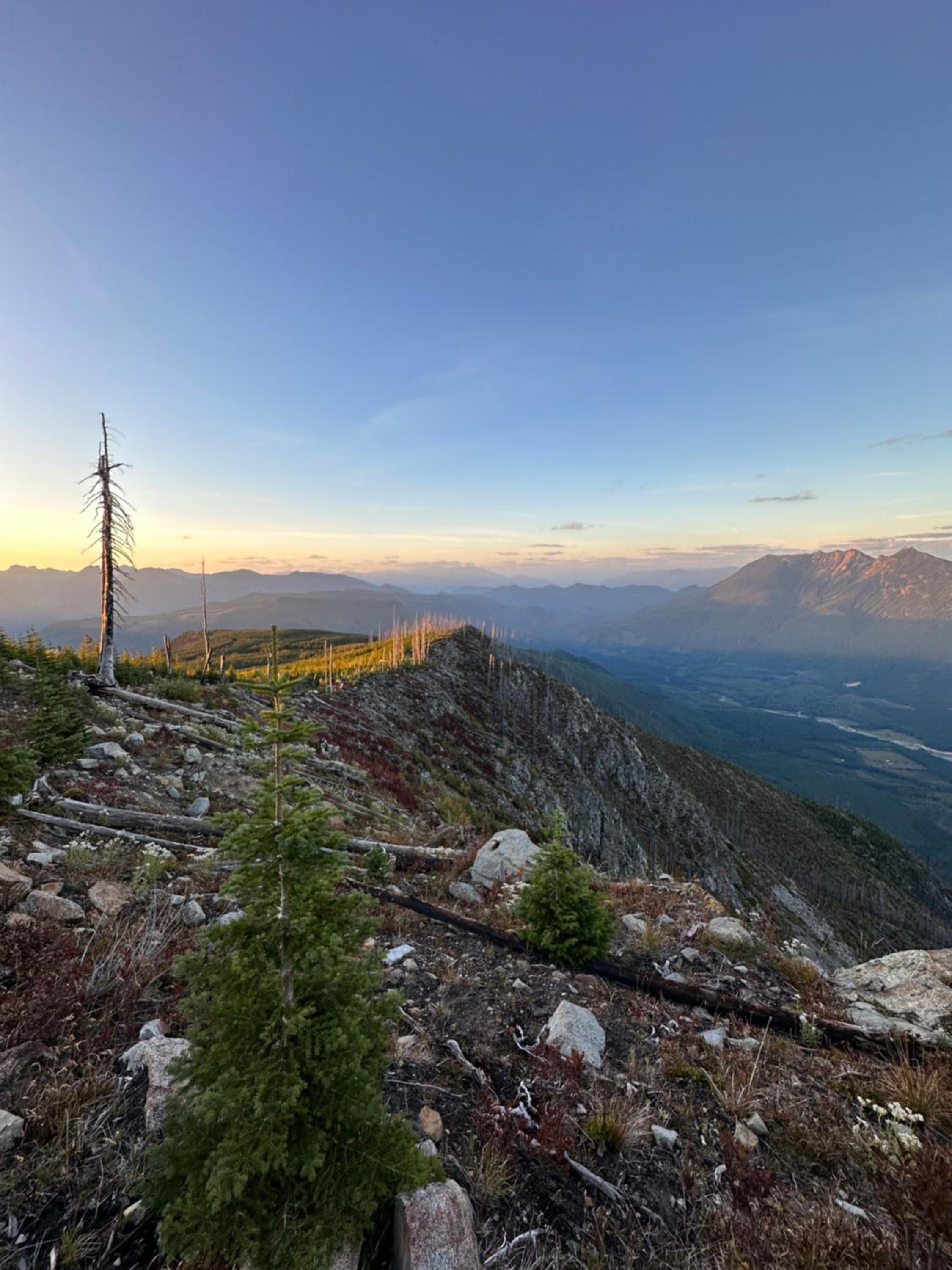 Kootenay Lakeview Retreats - Forest Cabin