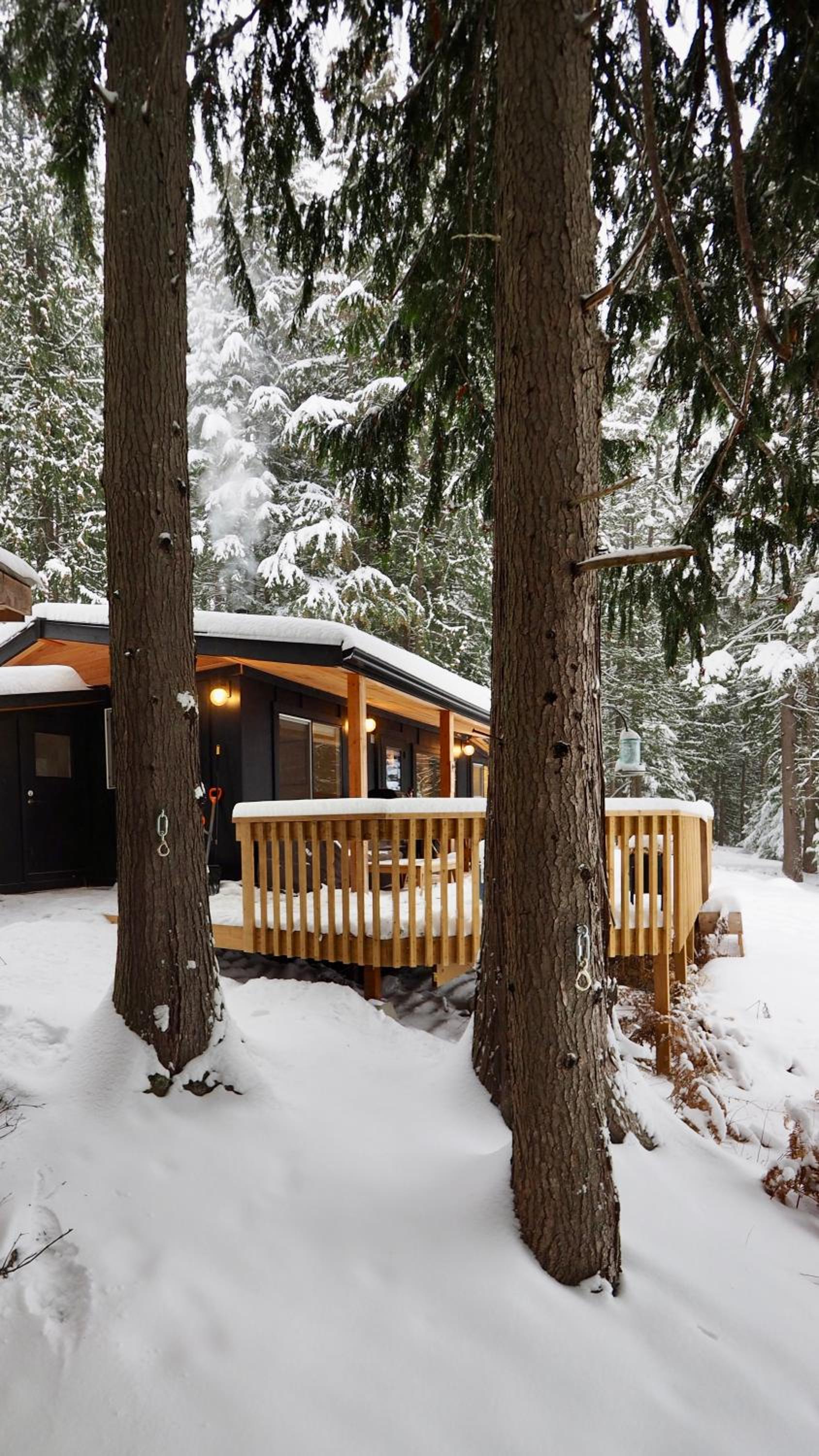 Kootenay Lakeview Retreats - Forest Cabin