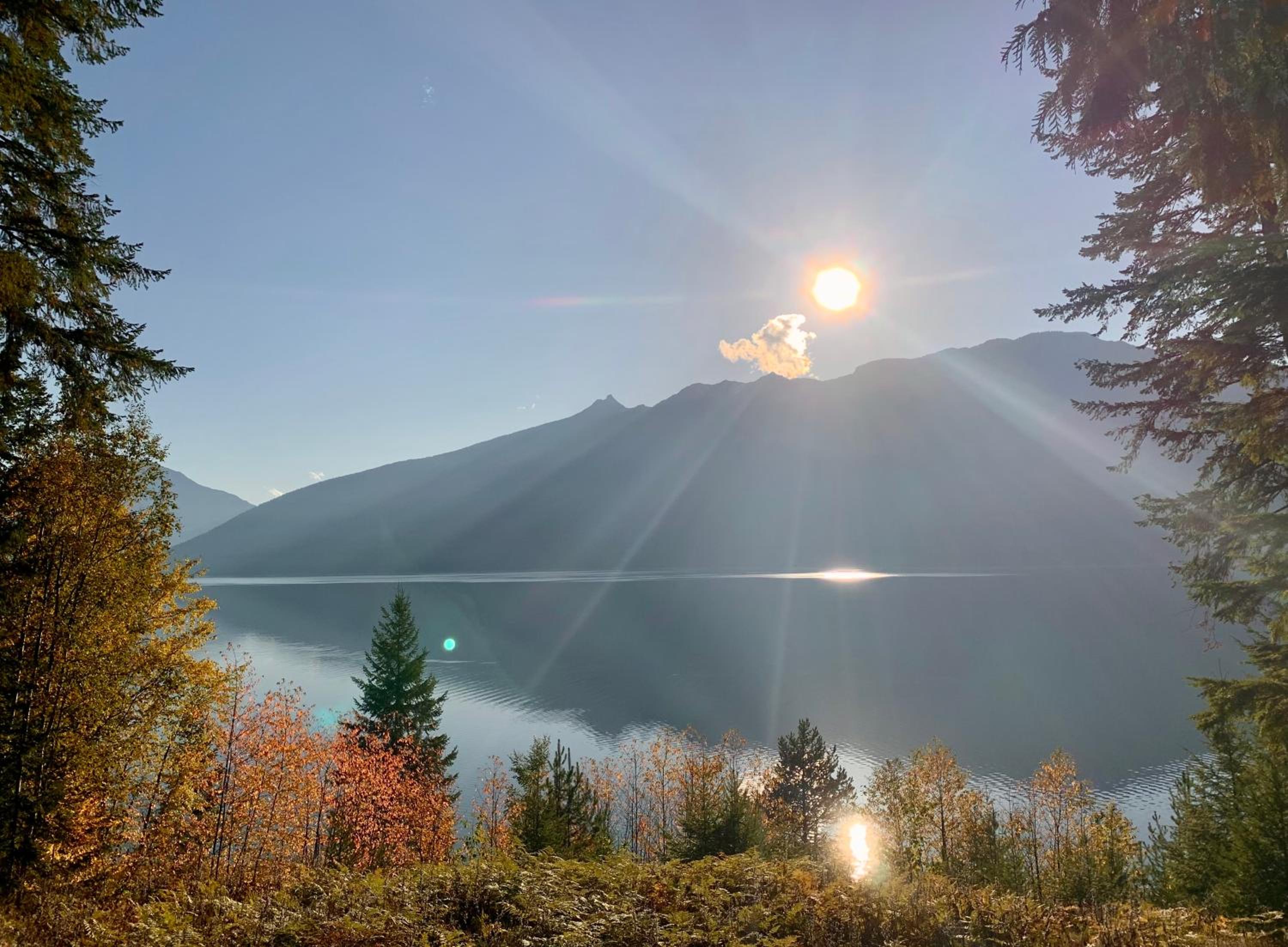 Kootenay Lakeview Retreats - Forest Cabin