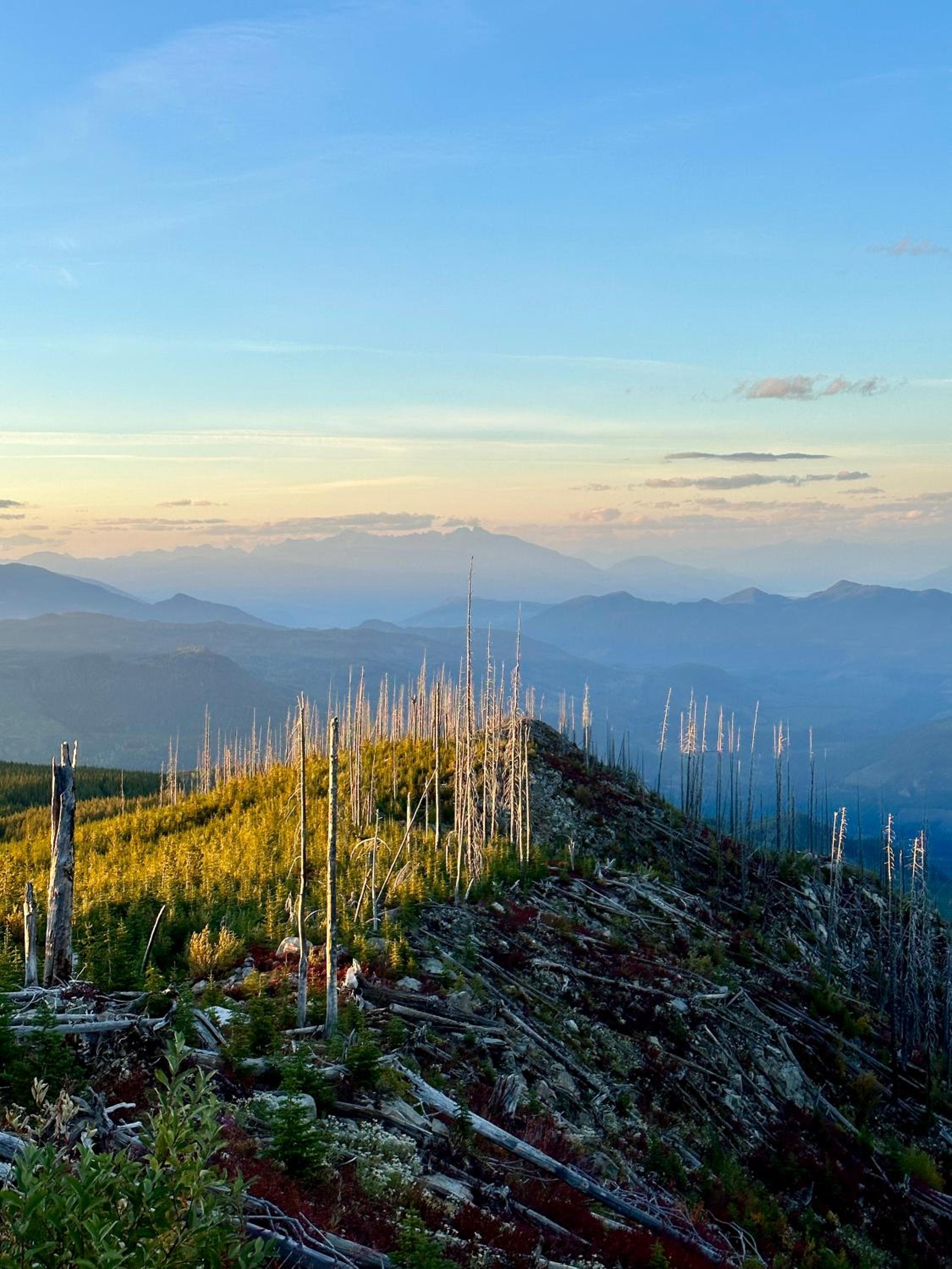 Kootenay Lakeview Retreats - Forest Cabin