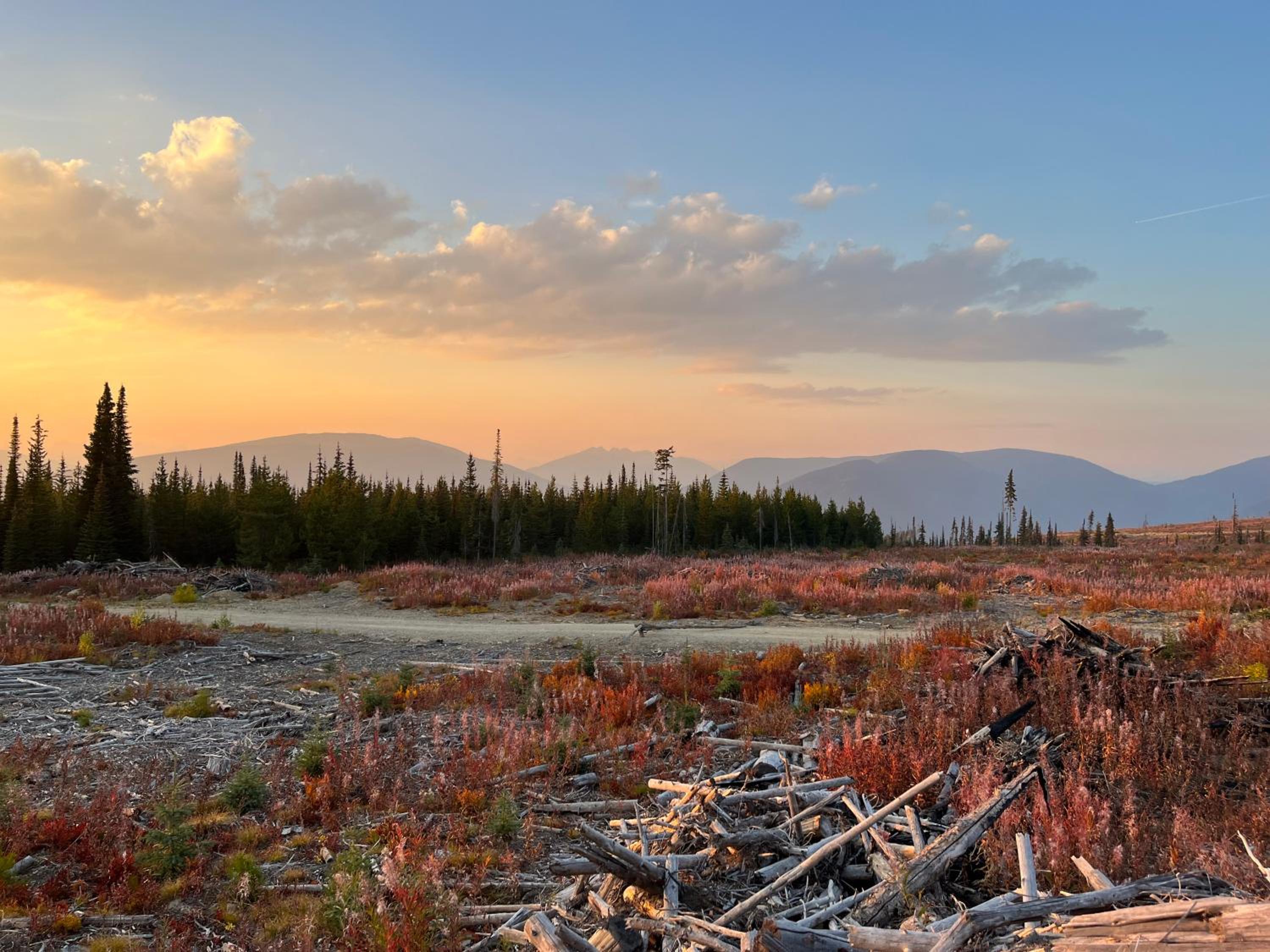 Kootenay Lakeview Retreats - Forest Cabin