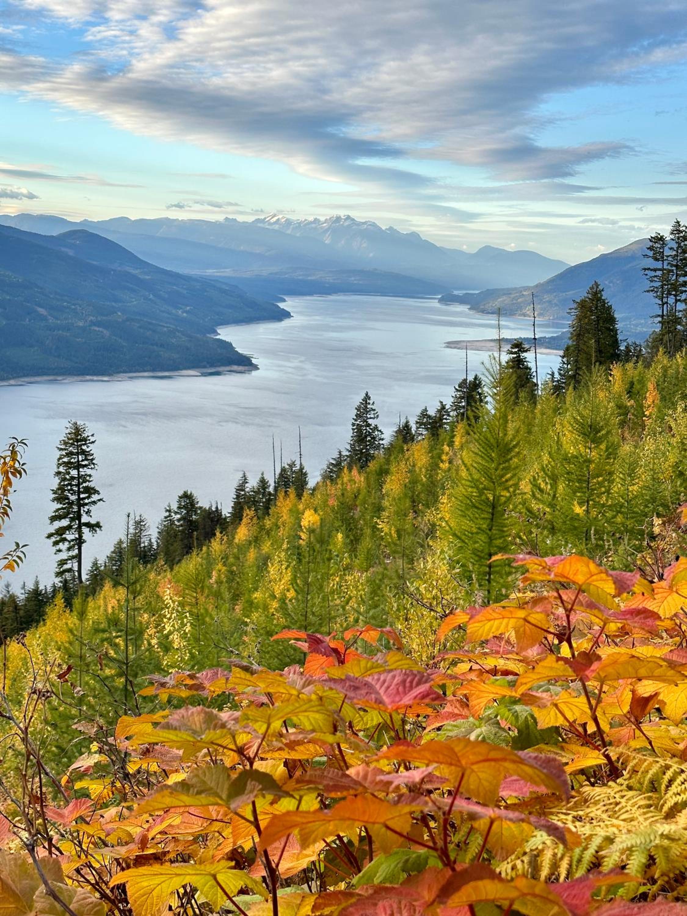 Kootenay Lakeview Retreats - Forest Cabin