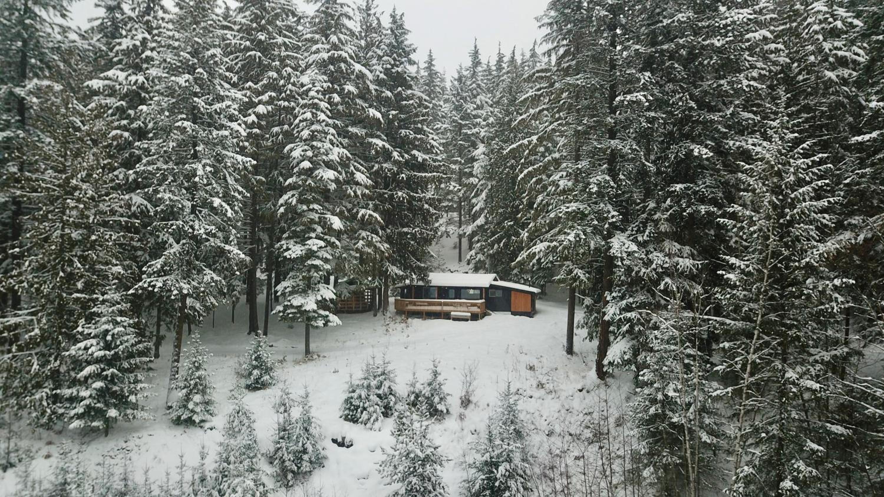 Kootenay Lakeview Retreats - Forest Cabin