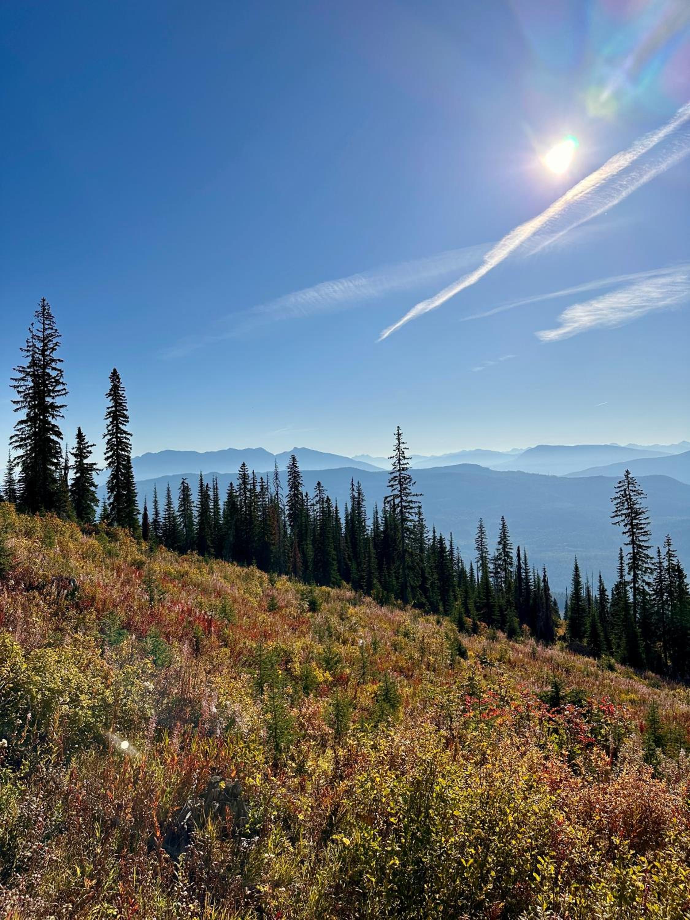 Kootenay Lakeview Retreats - Forest Cabin