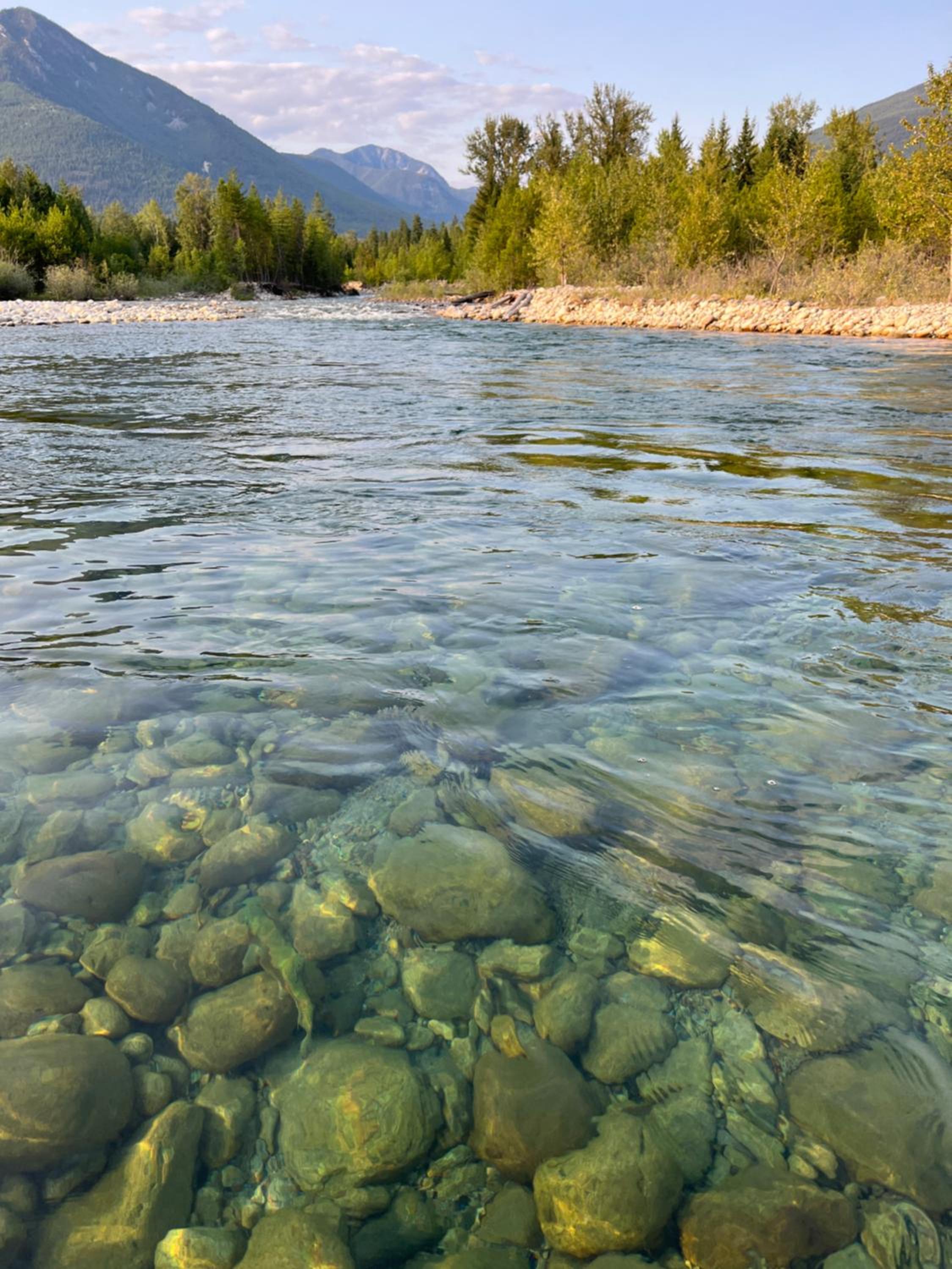 Kootenay Lakeview Retreats - Forest Cabin