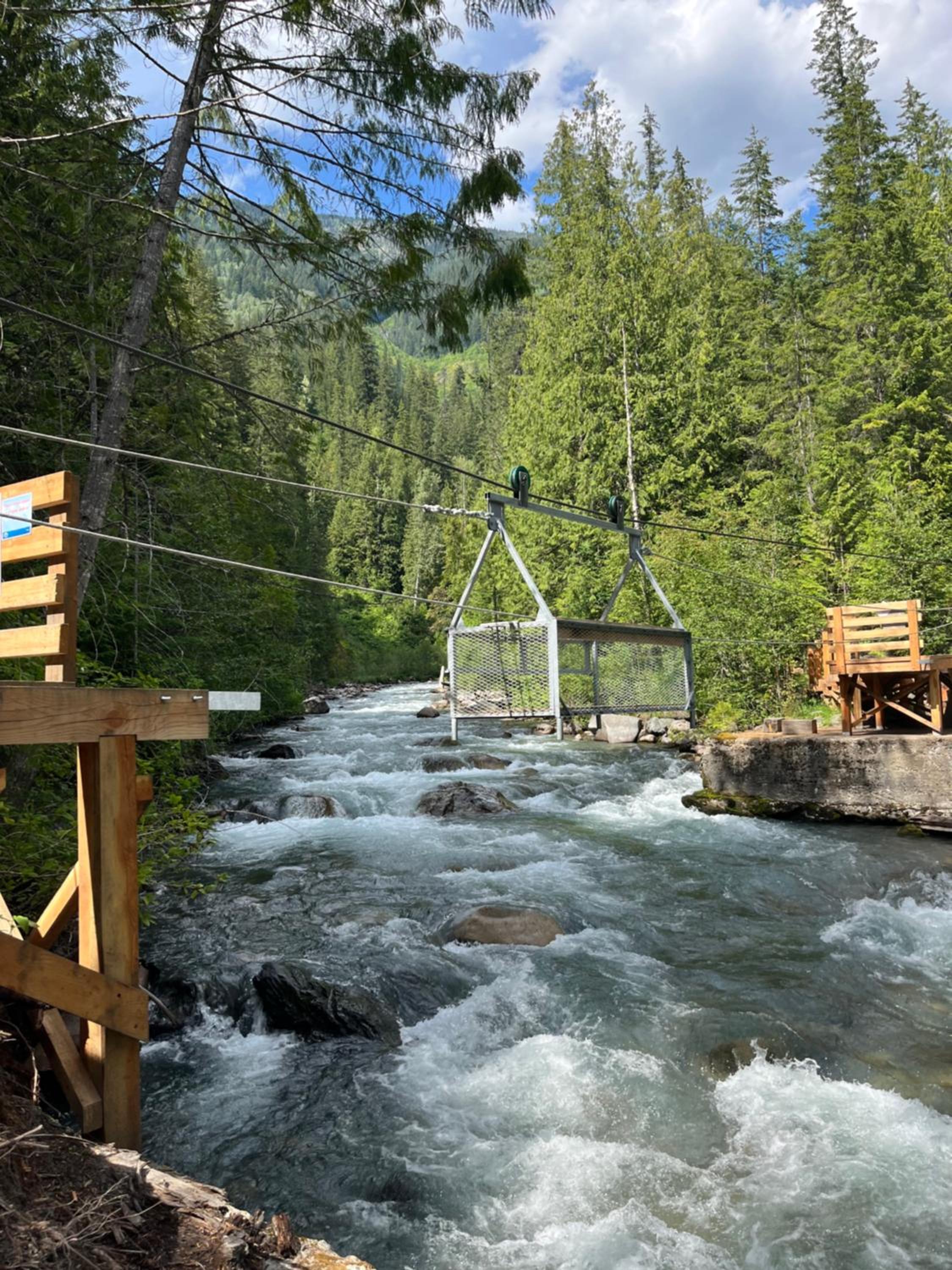 Kootenay Lakeview Retreats - Forest Cabin