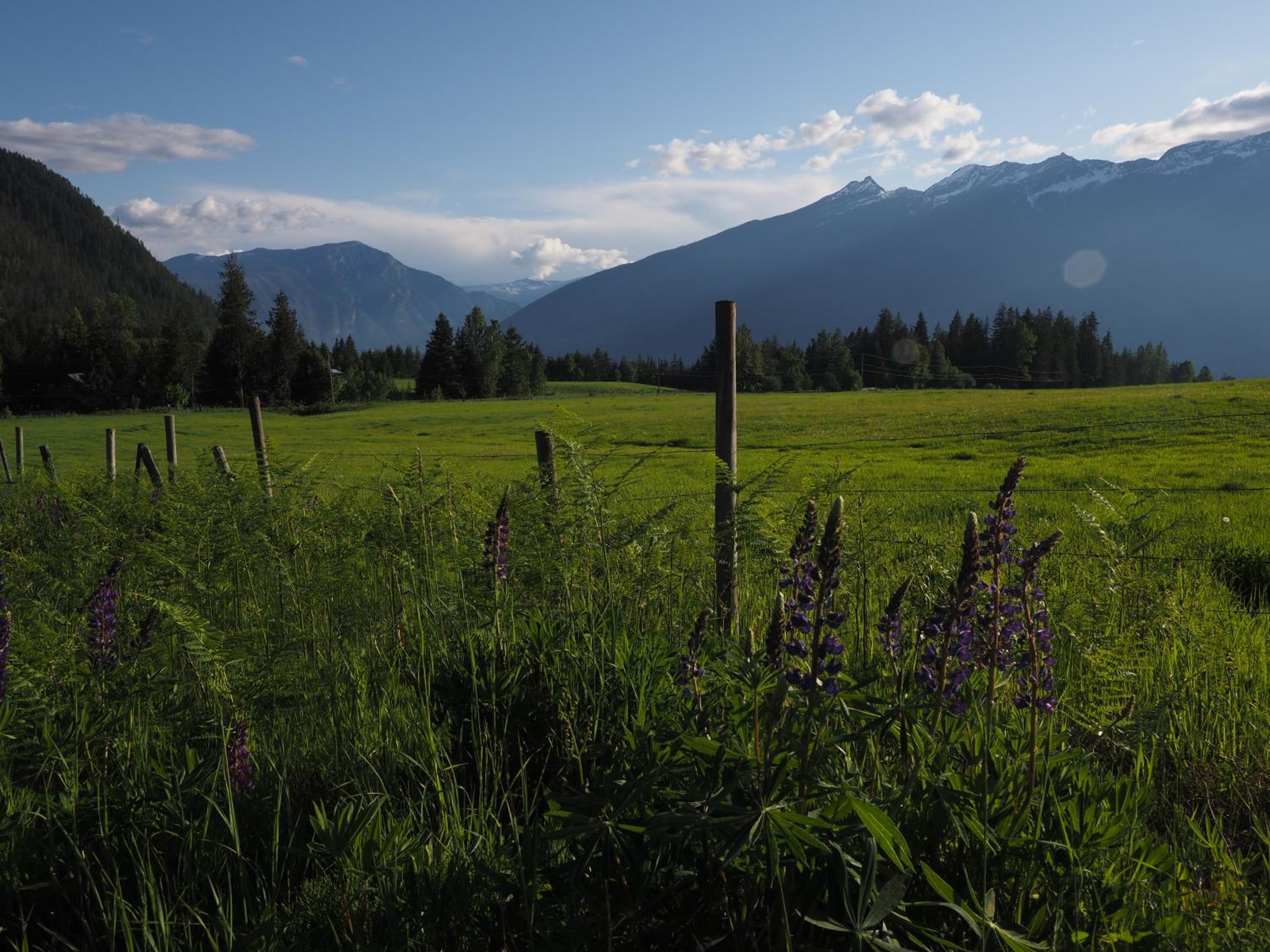Kootenay Lakeview Retreats - Forest Cabin