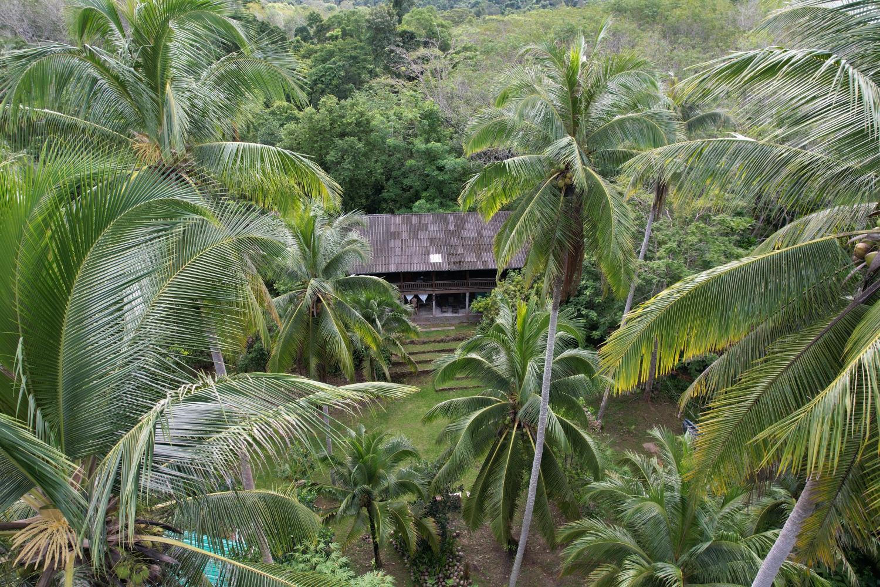 Photo 14