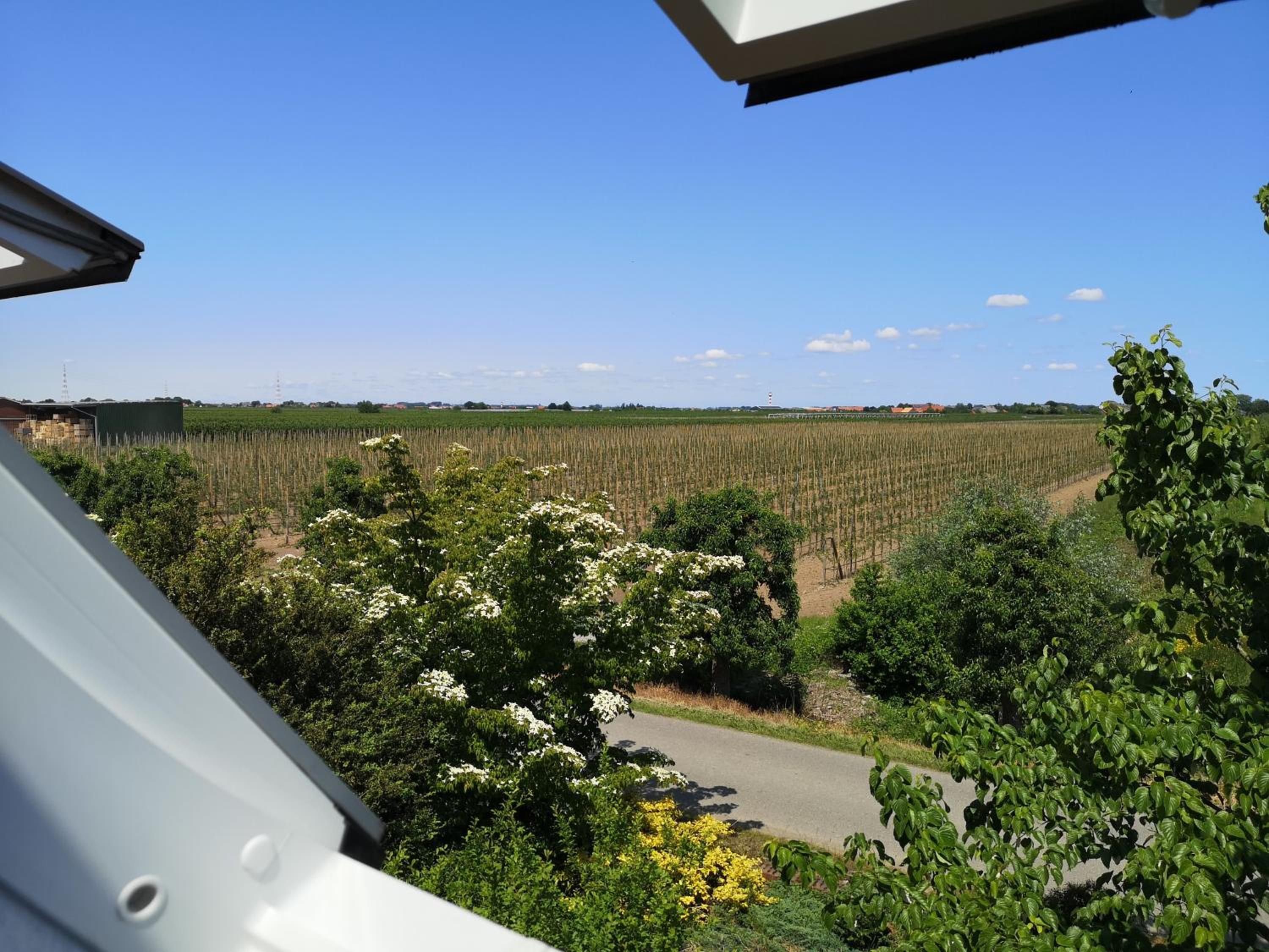 Hof Sonnenschein