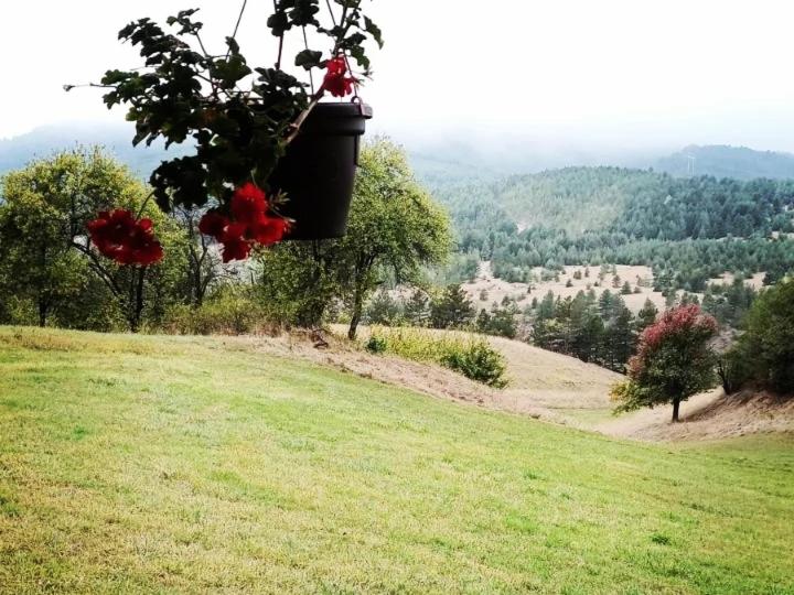 Koliba kod Vukašina