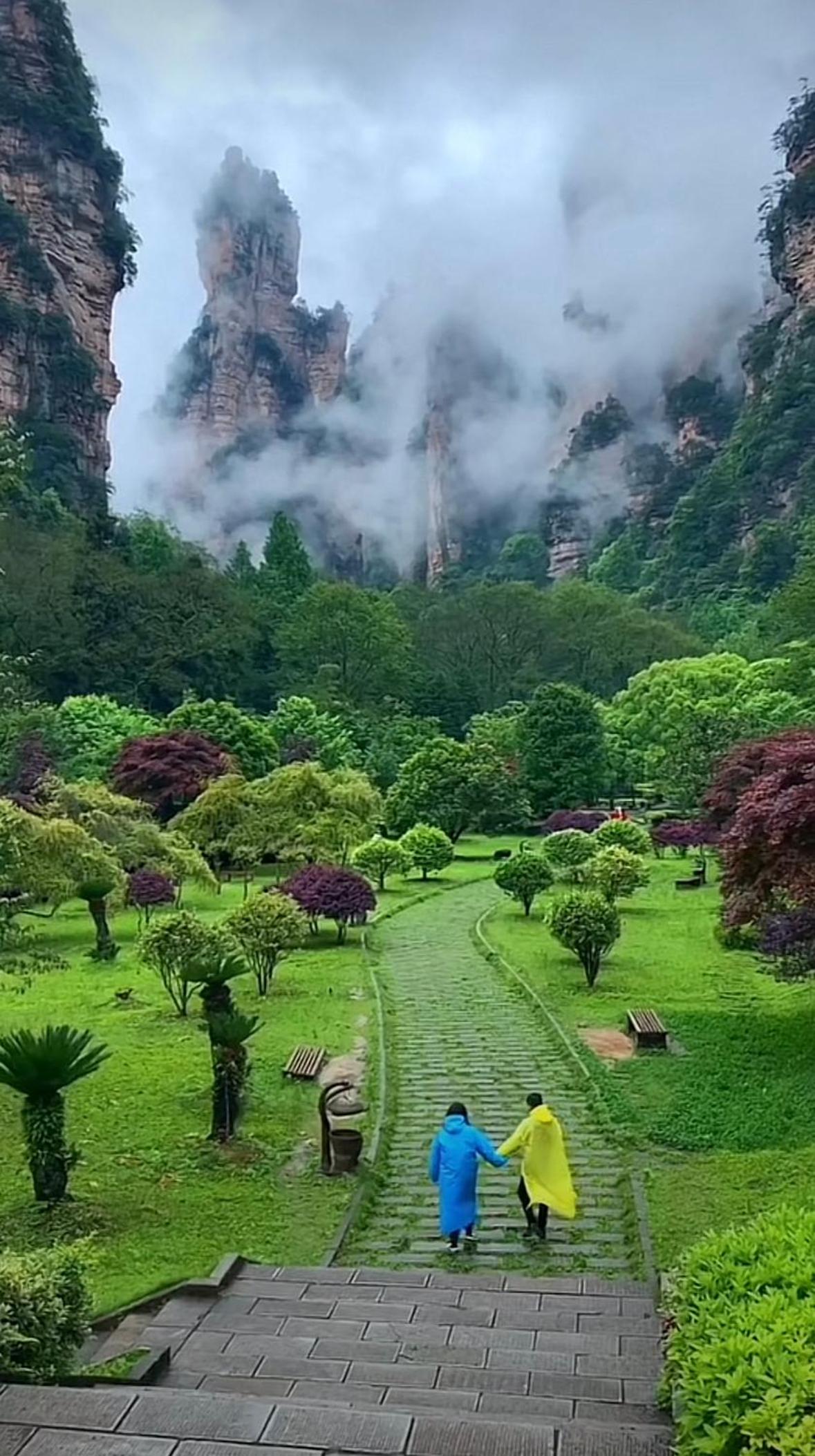 Tongfu Inn(In the National Park)