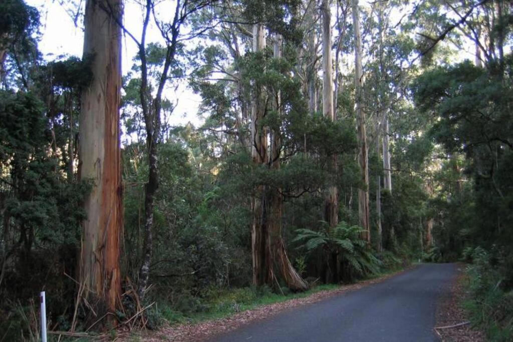 Apollo Bay Oceanview Mountain Retreat, Pet Friendly, EV station, Fireplace