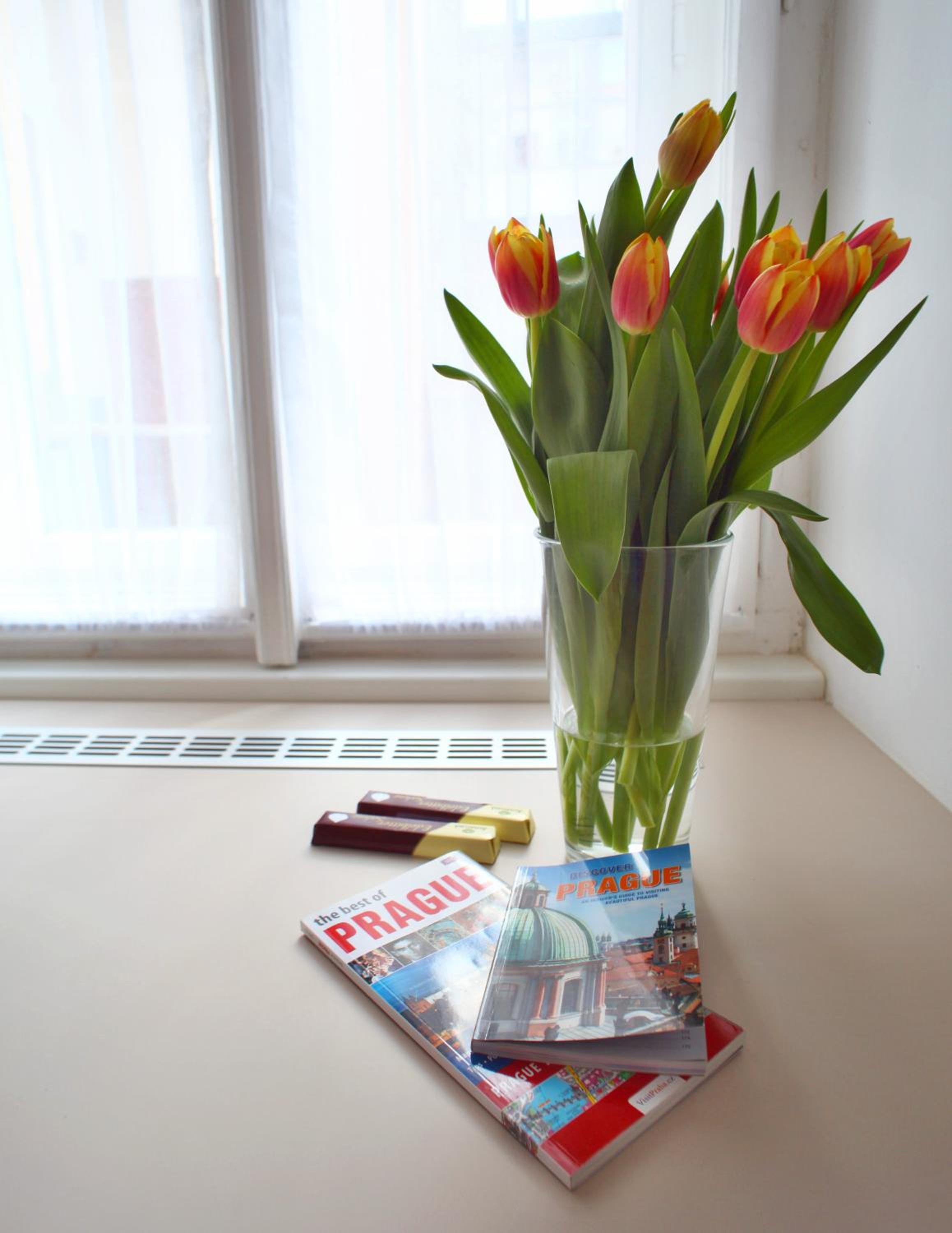 Lovely Lila apartment