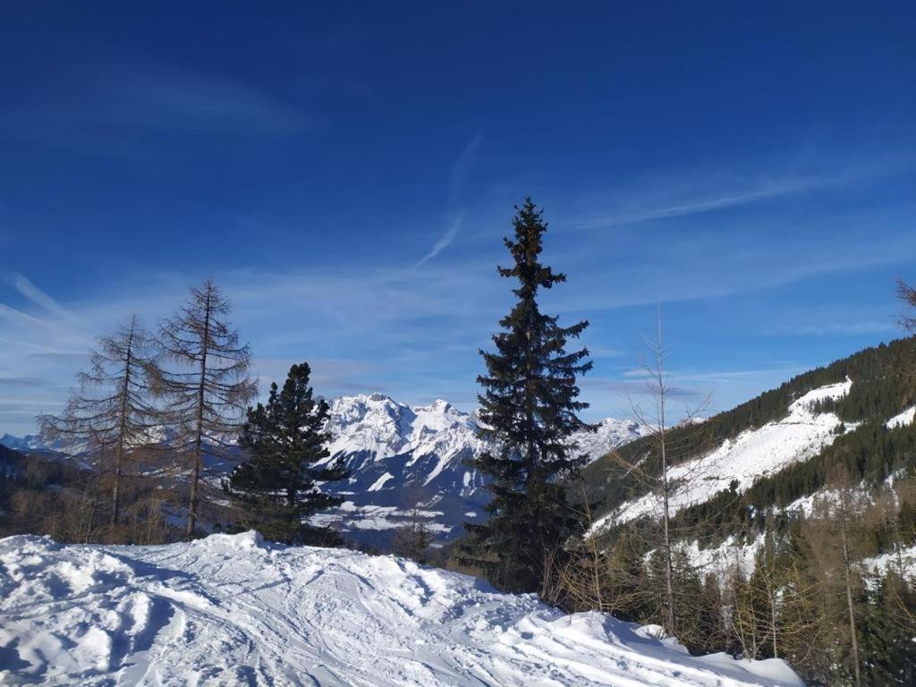 Chalet Alma
