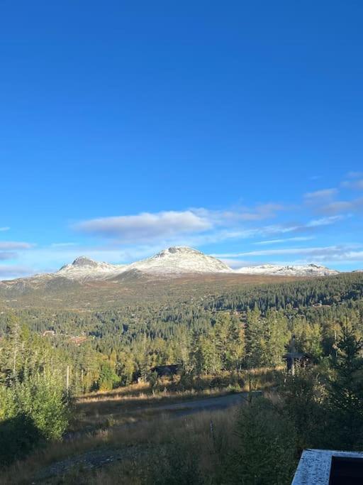 Hytte i Tuddal view 3