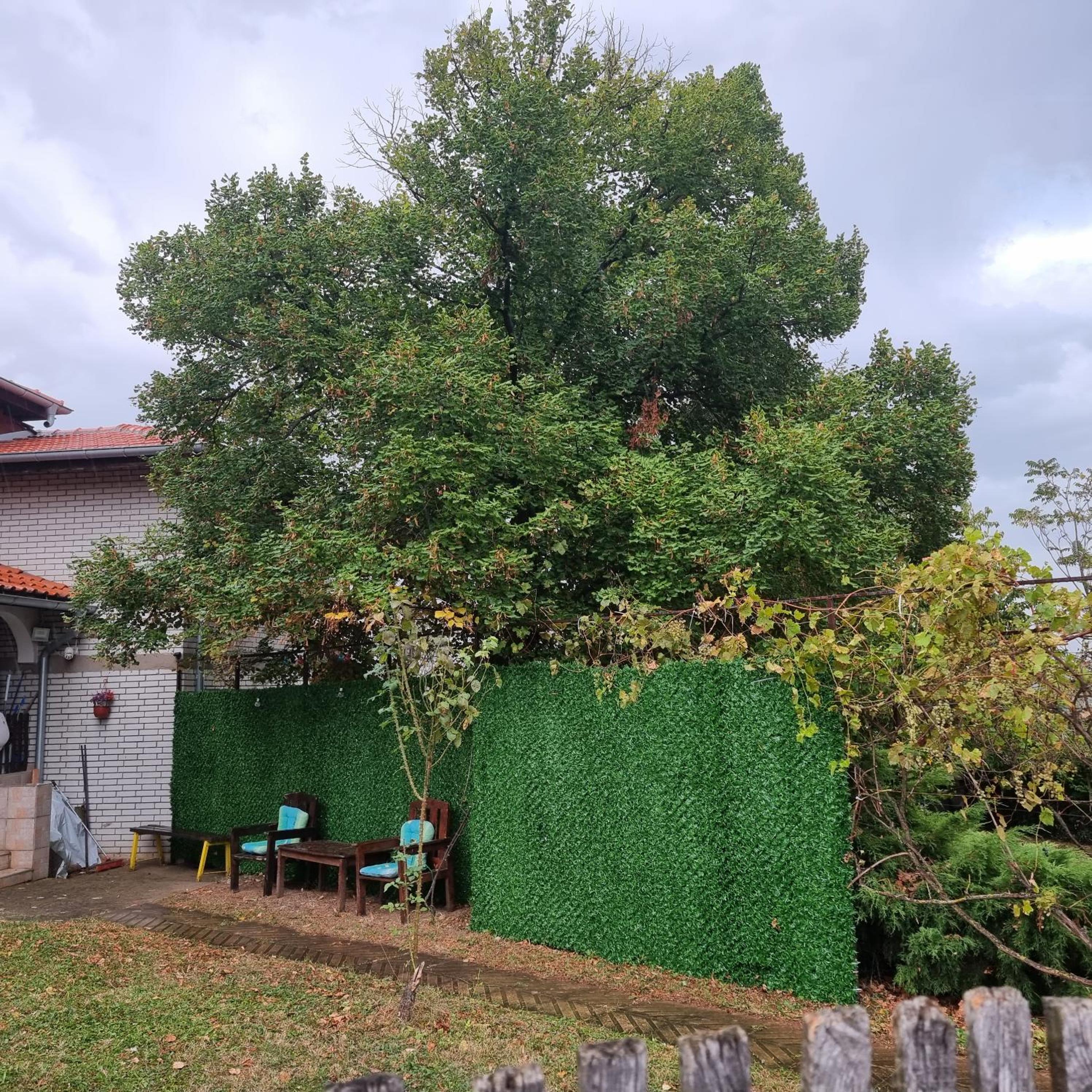 Photo 27